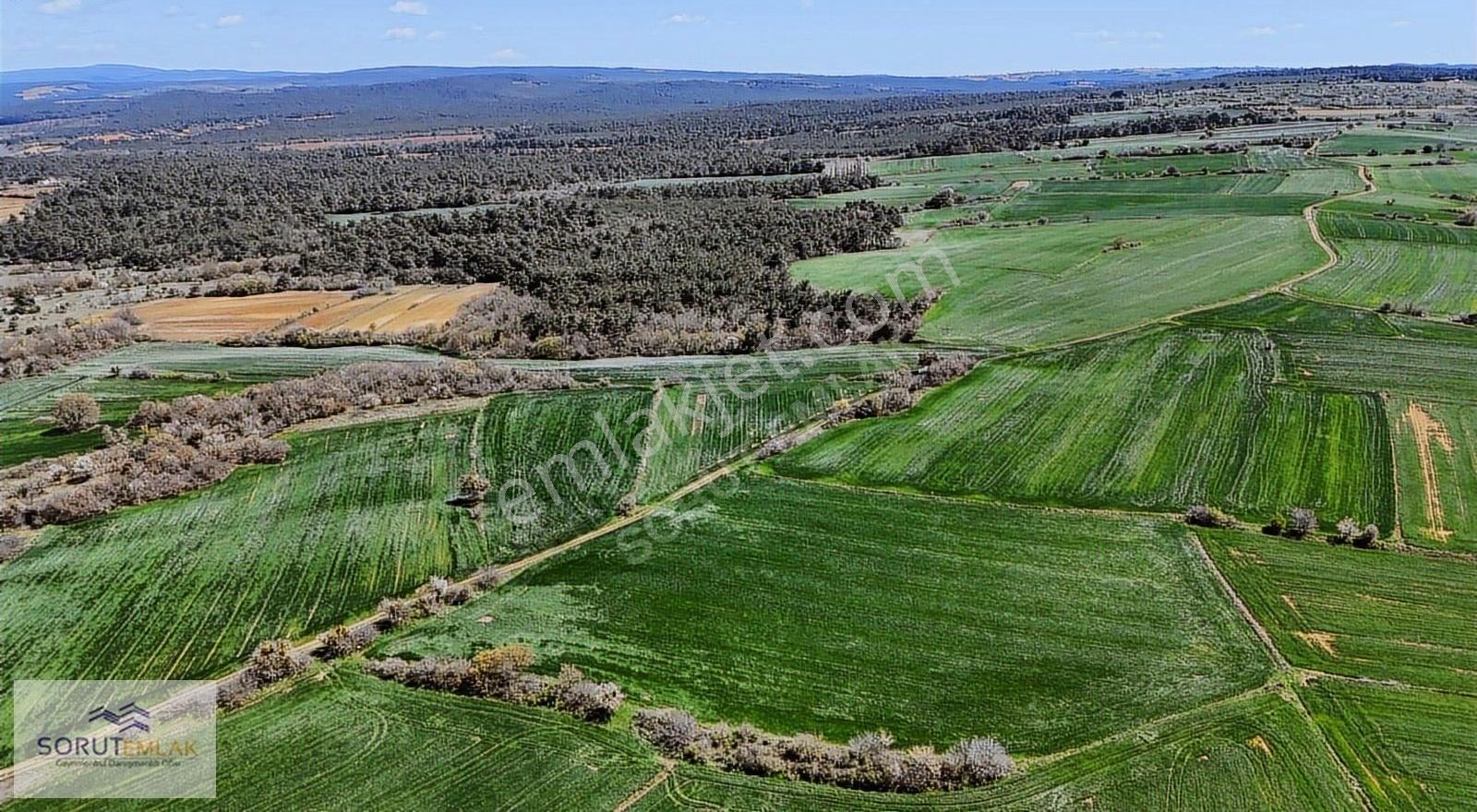 Çeltik Köyün'de Kadastro Yoluna Cepheli Satılık 15.728m2 Tarla - Görsel 24