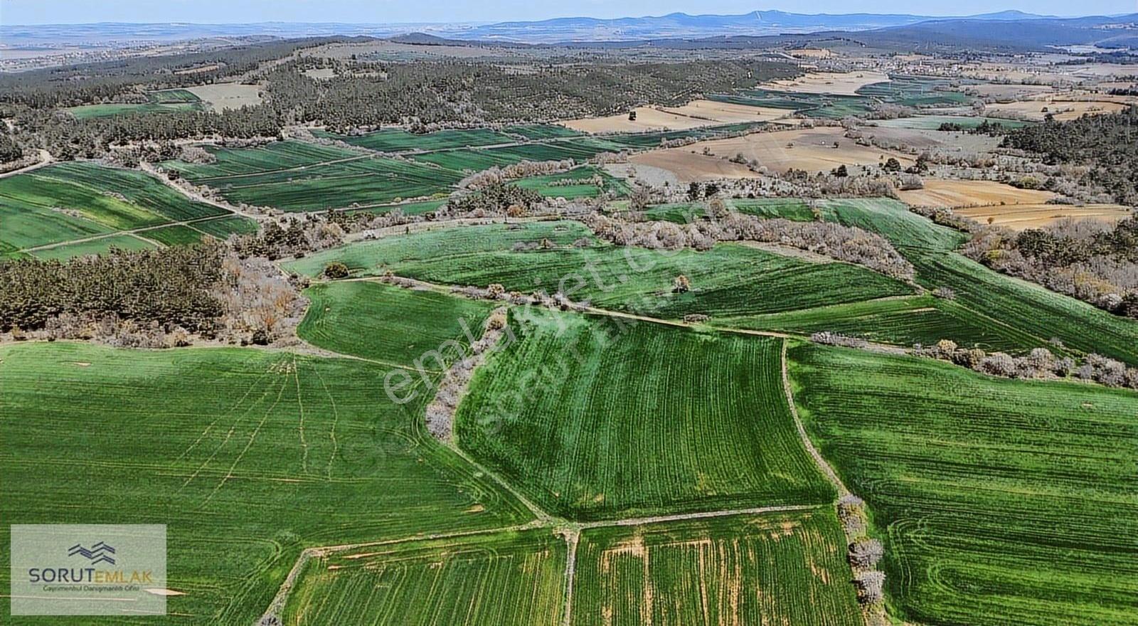 Çeltik Köyün'de Kadastro Yoluna Cepheli Satılık 15.728m2 Tarla - Görsel 8