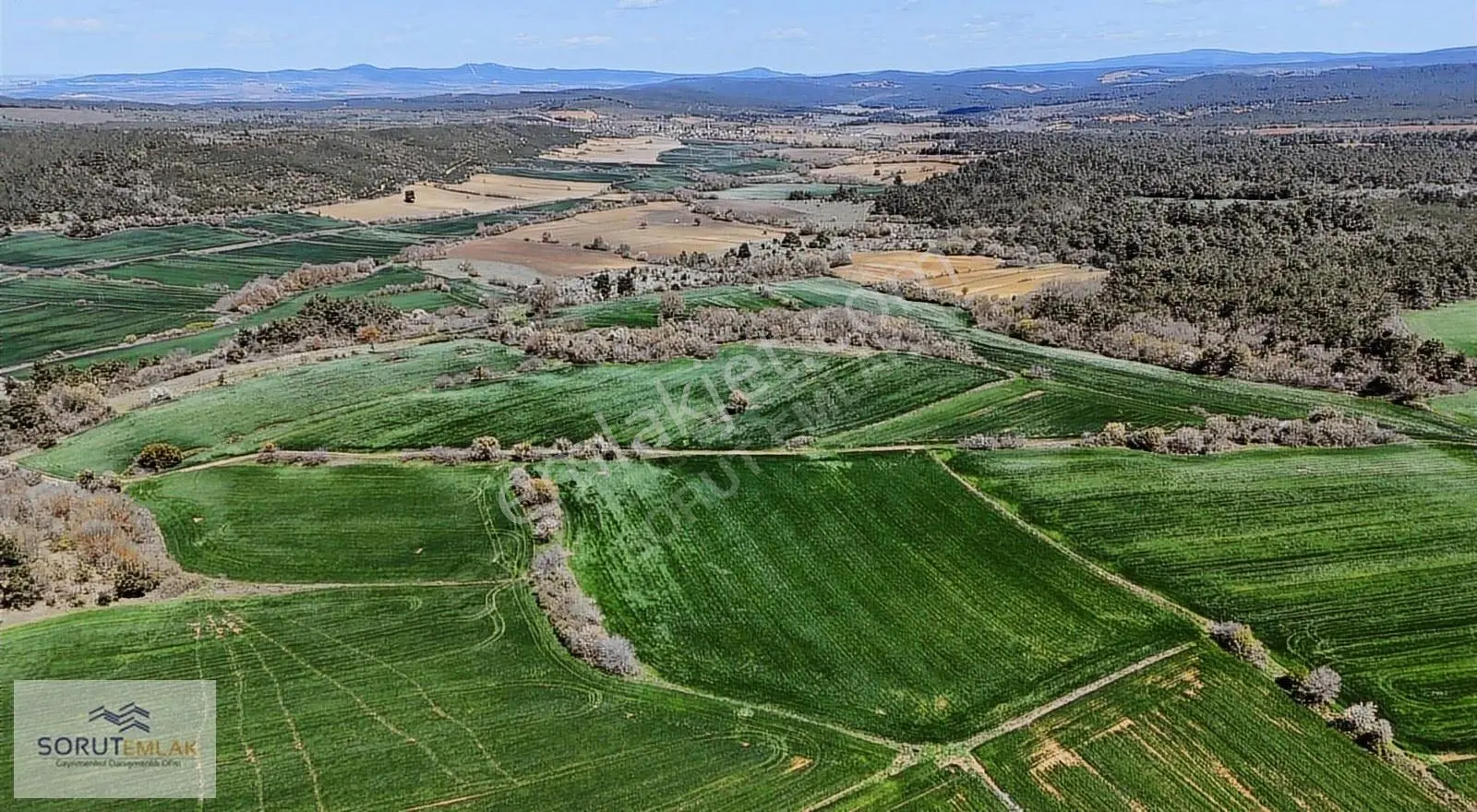 Çeltik Köyün'de Kadastro Yoluna Cepheli Satılık 15.728m2 Tarla - Görsel 3