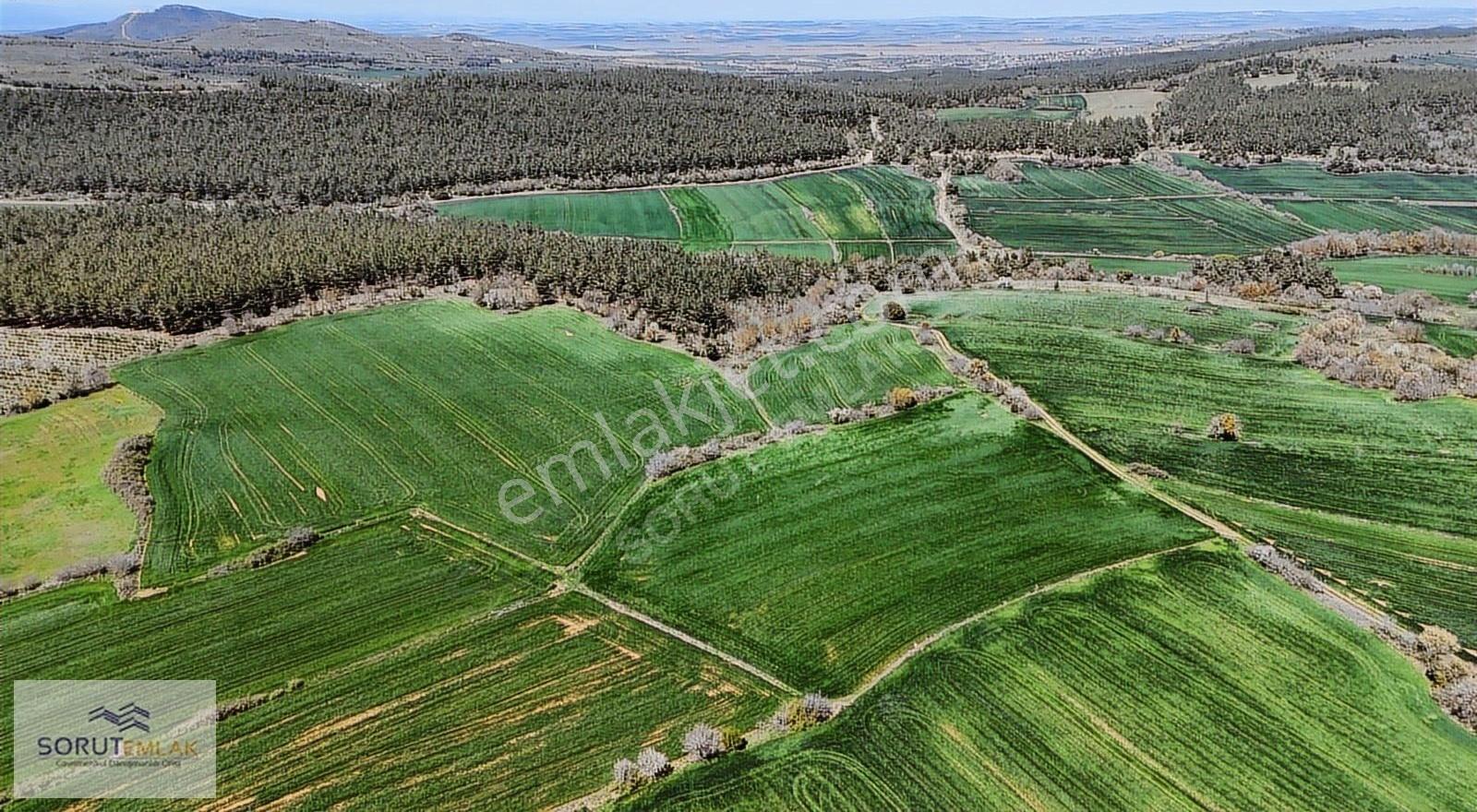 Çeltik Köyün'de Kadastro Yoluna Cepheli Satılık 15.728m2 Tarla - Görsel 13