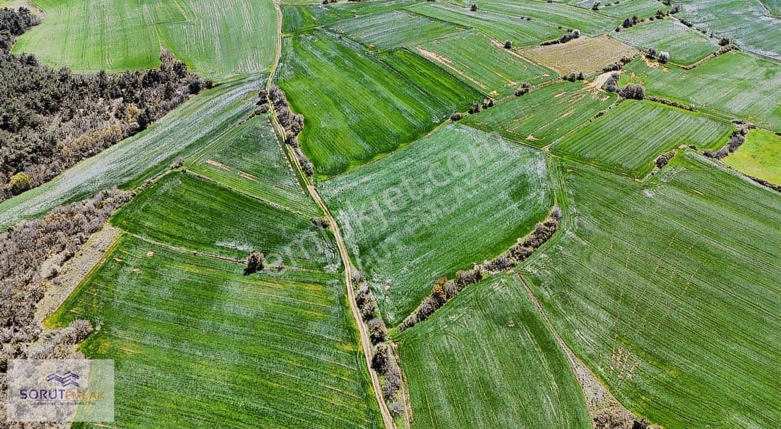 Çeltik Köyün'de Kadastro Yoluna Cepheli Satılık 15.728m2 Tarla - Görsel 5