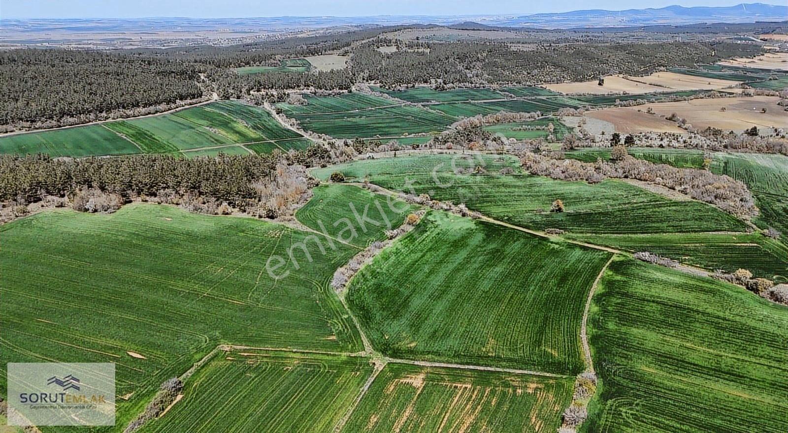 Çeltik Köyün'de Kadastro Yoluna Cepheli Satılık 15.728m2 Tarla - Görsel 23