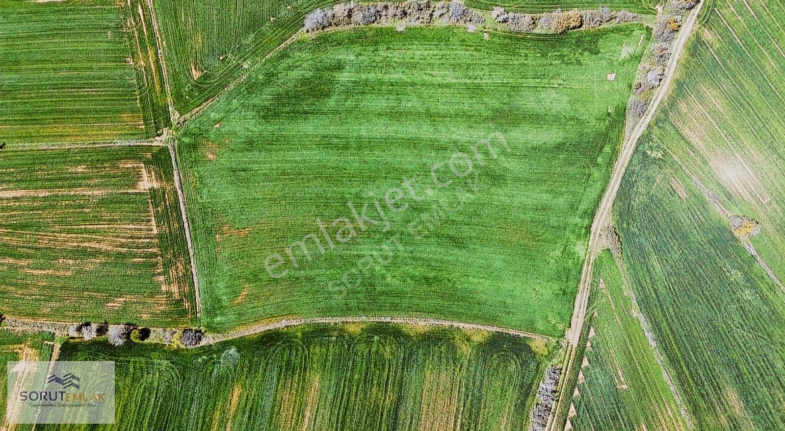 Çeltik Köyün'de Kadastro Yoluna Cepheli Satılık 15.728m2 Tarla - Görsel 9