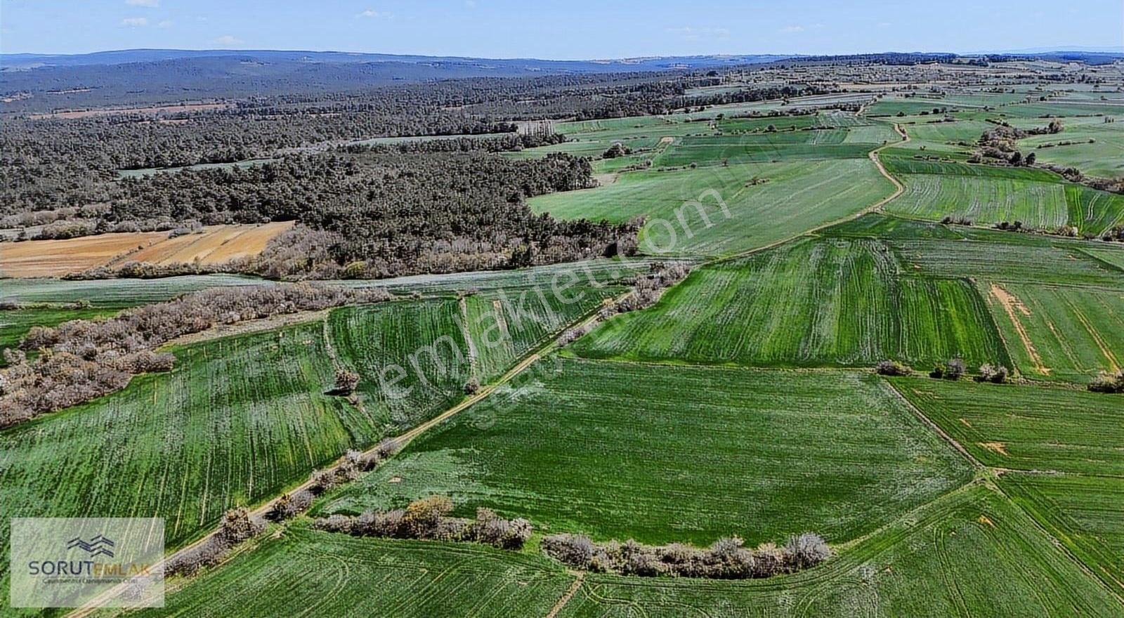 Çeltik Köyün'de Kadastro Yoluna Cepheli Satılık 15.728m2 Tarla - Görsel 7