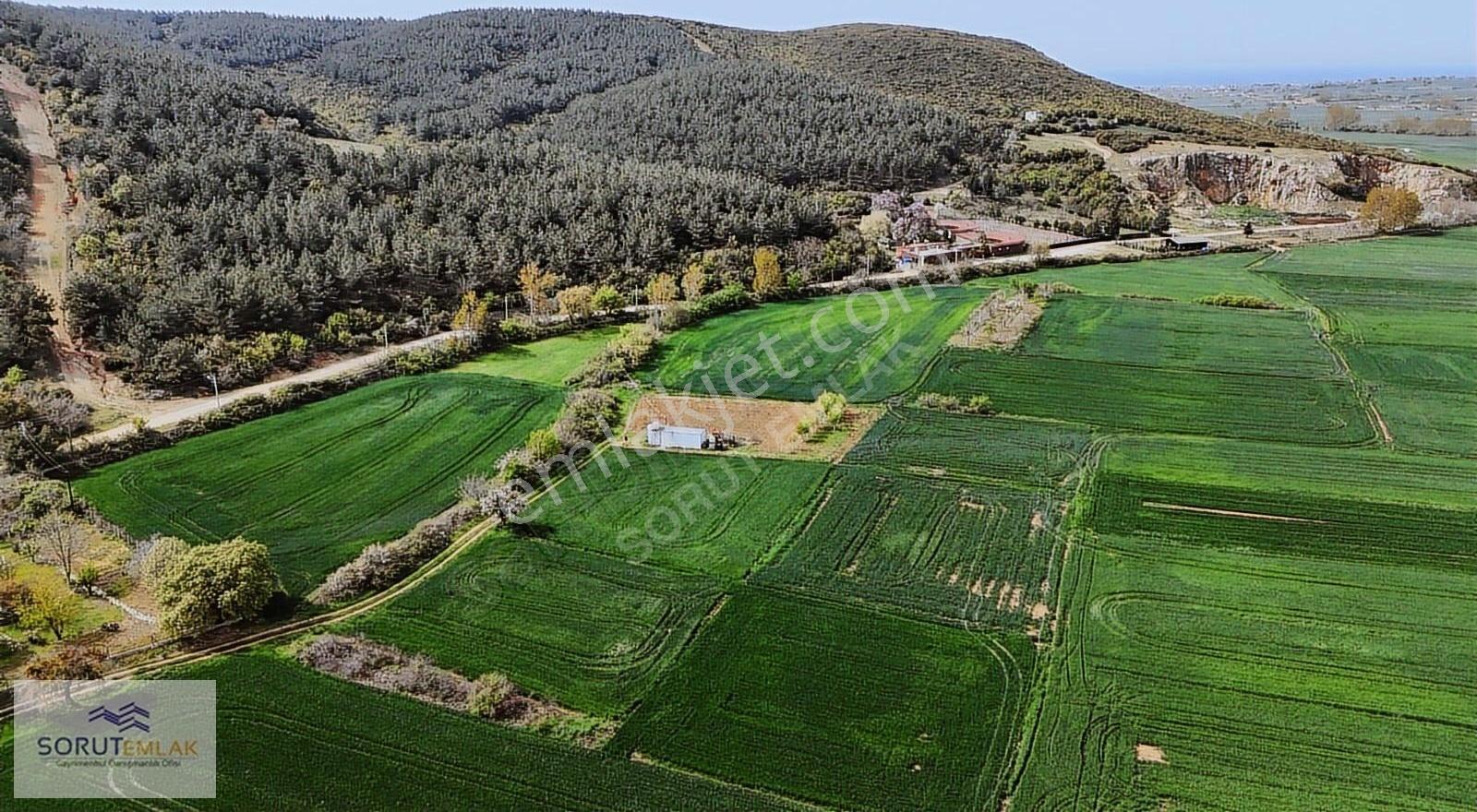 Mecidiye İbrice Liman Yolu Üzerinde %15 İmarlı Arsa - Görsel 17