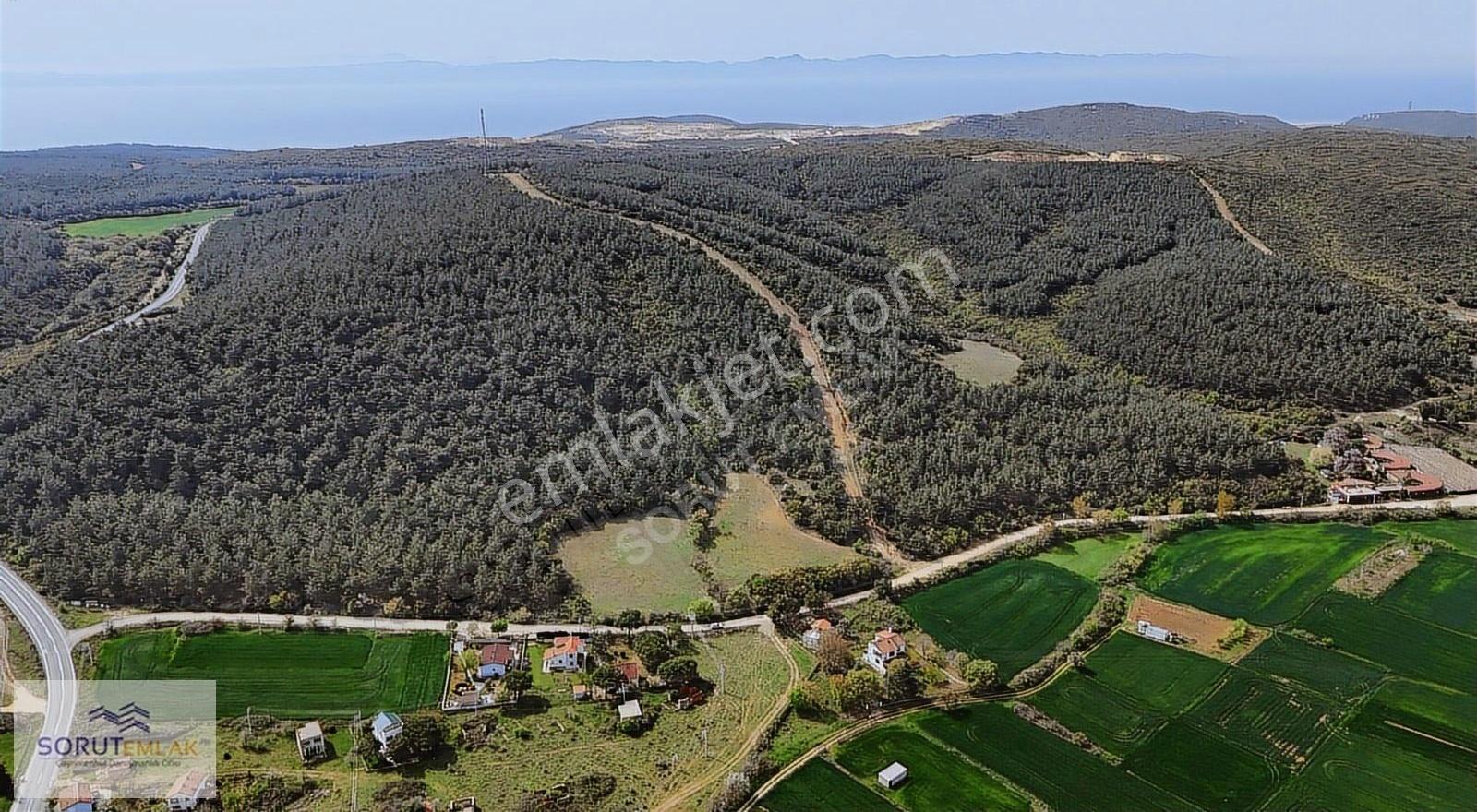 Mecidiye İbrice Liman Yolu Üzerinde %15 İmarlı Arsa - Görsel 8