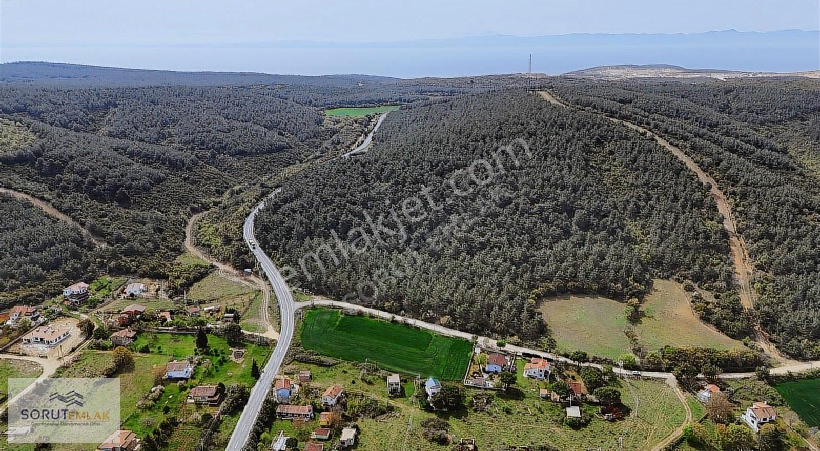 Mecidiye İbrice Liman Yolu Üzerinde %15 İmarlı Arsa - Görsel 5