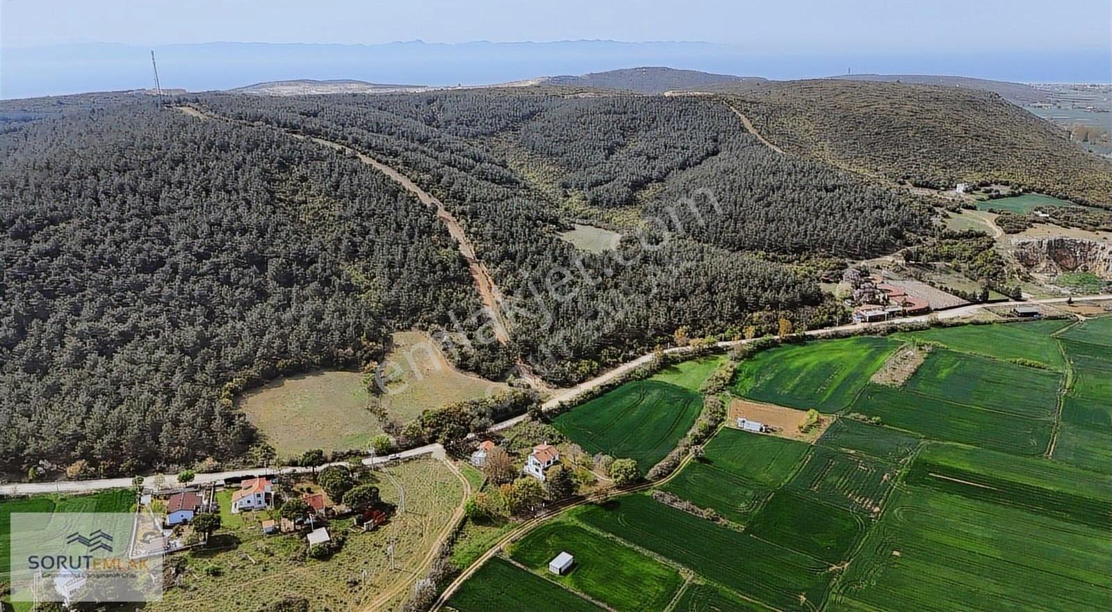 Mecidiye İbrice Liman Yolu Üzerinde %15 İmarlı Arsa - Görsel 12