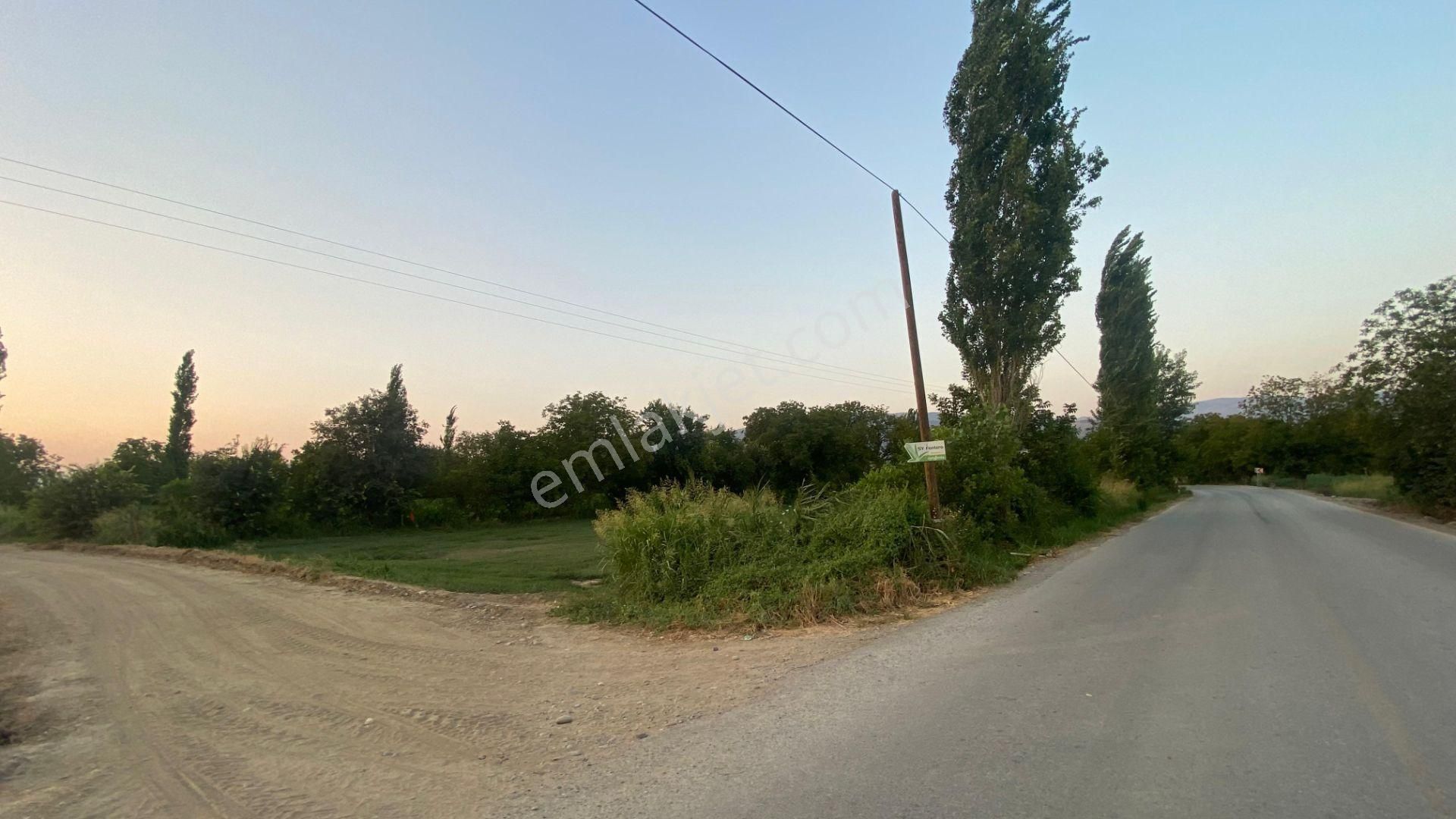 Yazıkent Bozdoğan Yol Üzeri 5,275 M2 Yol Kenarı Satılık Tarla - Görsel 7