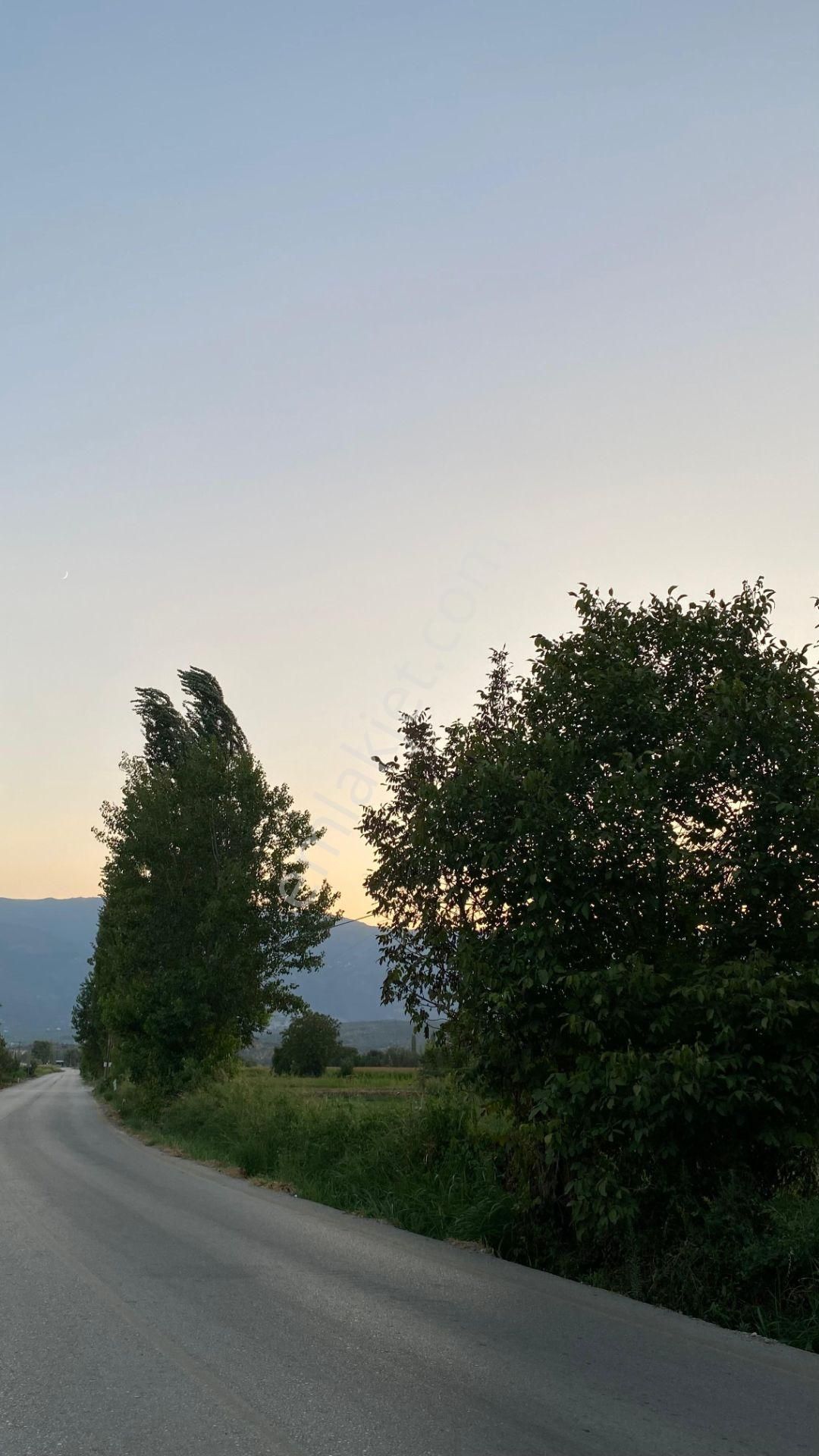 Yazıkent Bozdoğan Yol Üzeri 5,275 M2 Yol Kenarı Satılık Tarla - Görsel 4