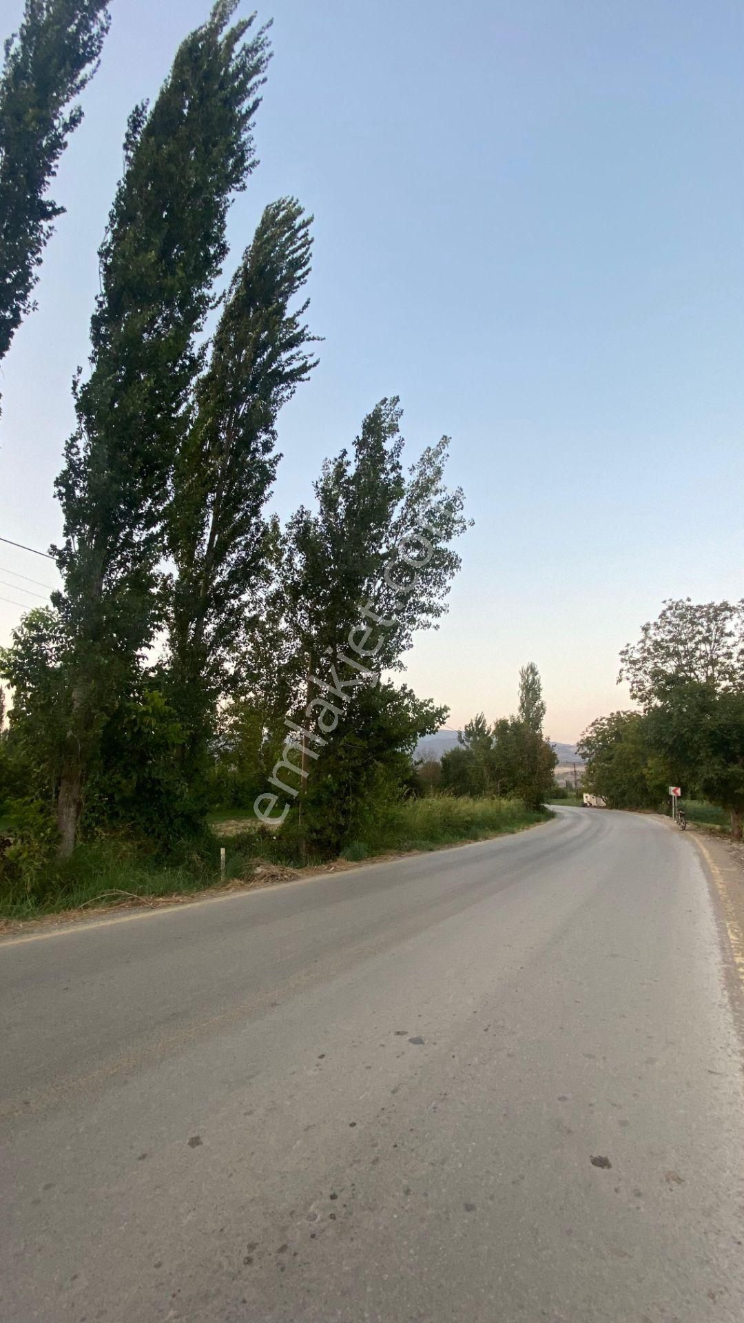 Yazıkent Bozdoğan Yol Üzeri 5,275 M2 Yol Kenarı Satılık Tarla - Görsel 6