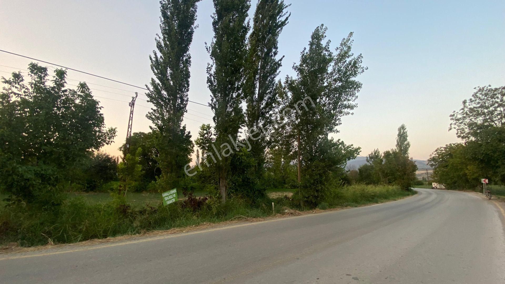 Yazıkent Bozdoğan Yol Üzeri 5,275 M2 Yol Kenarı Satılık Tarla