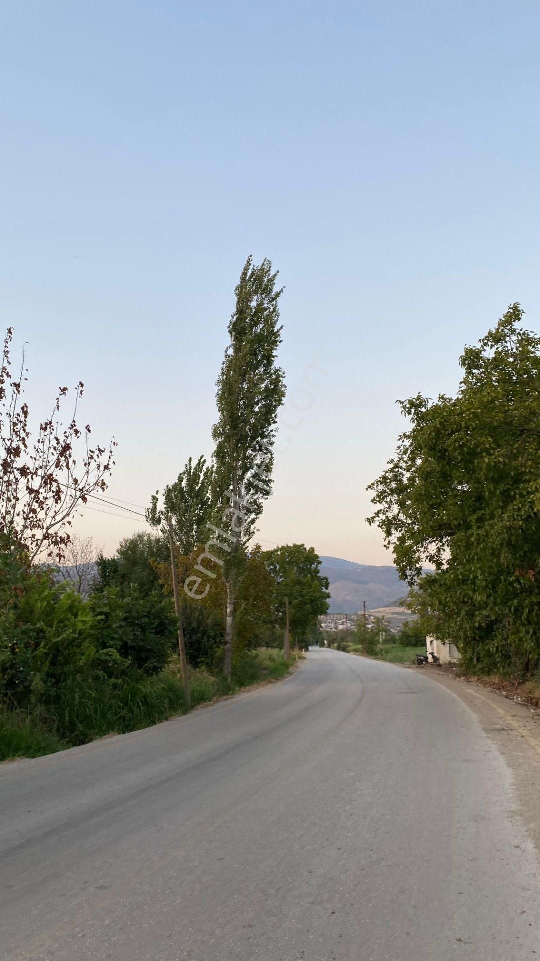 Yazıkent Bozdoğan Yol Üzeri 5,275 M2 Yol Kenarı Satılık Tarla - Görsel 5