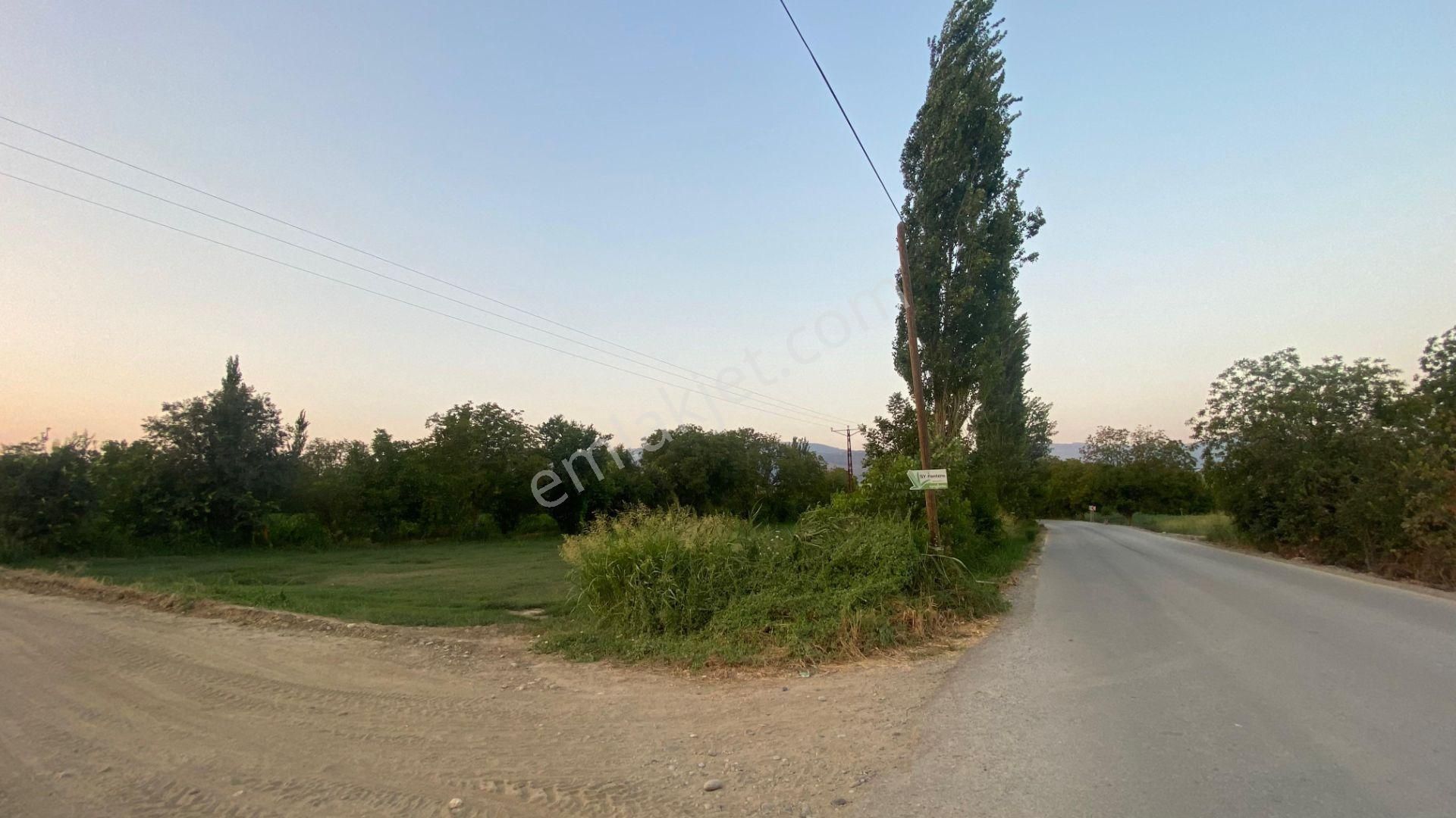 Yazıkent Bozdoğan Yol Üzeri 5,275 M2 Yol Kenarı Satılık Tarla - Görsel 9