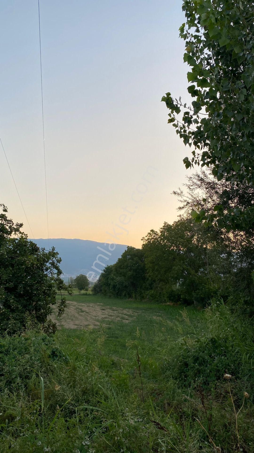 Yazıkent Bozdoğan Yol Üzeri 5,275 M2 Yol Kenarı Satılık Tarla - Görsel 3