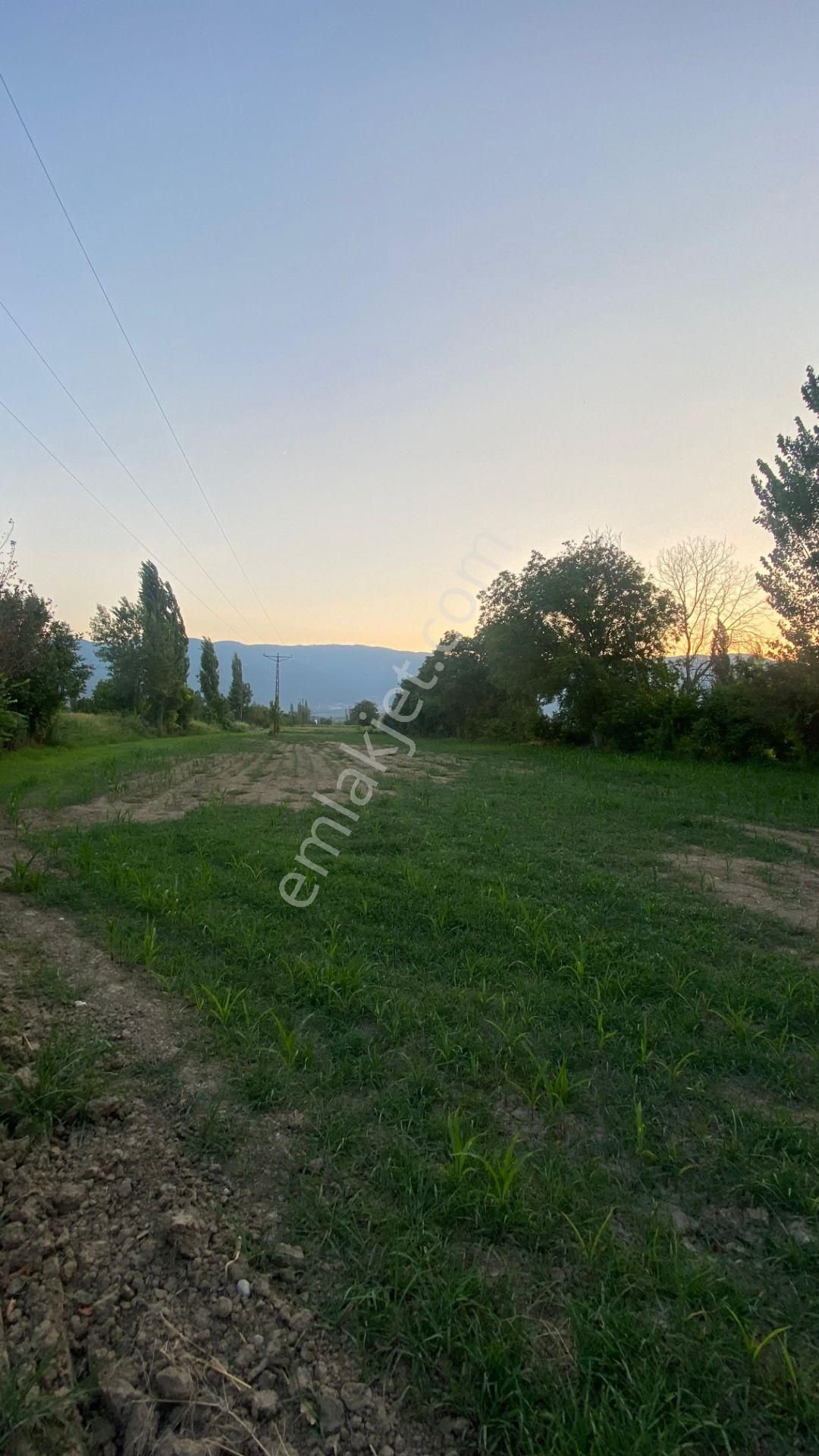 Yazıkent Bozdoğan Yol Üzeri 5,275 M2 Yol Kenarı Satılık Tarla - Görsel 14