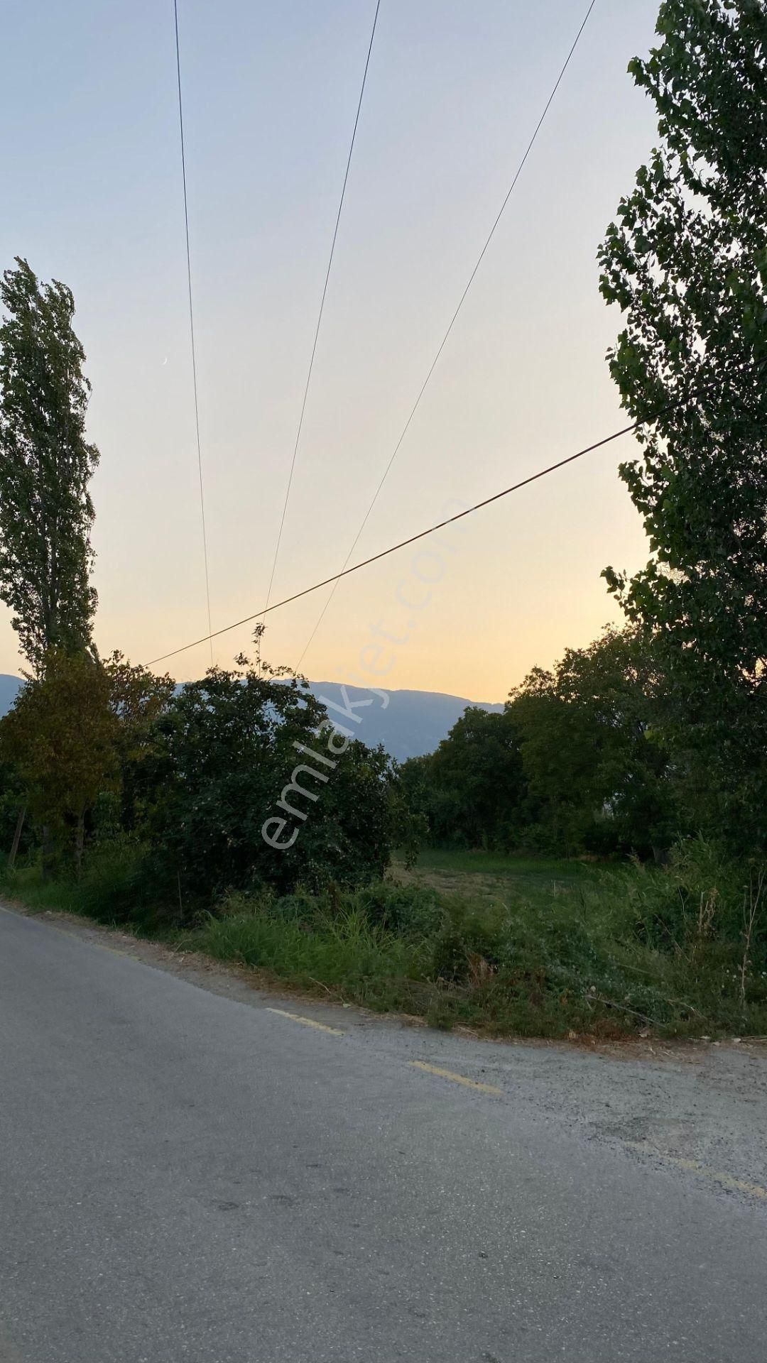 Yazıkent Bozdoğan Yol Üzeri 5,275 M2 Yol Kenarı Satılık Tarla - Görsel 15