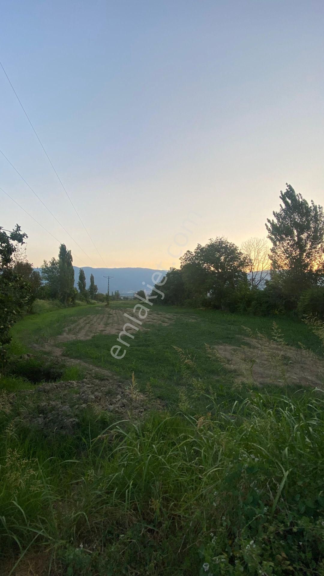 Yazıkent Bozdoğan Yol Üzeri 5,275 M2 Yol Kenarı Satılık Tarla - Görsel 16