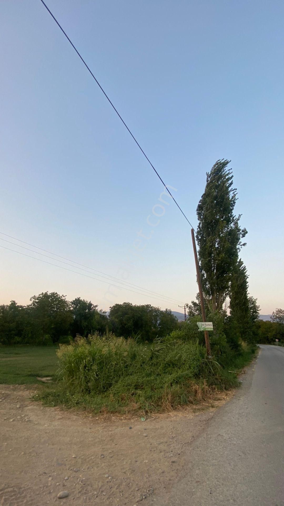 Yazıkent Bozdoğan Yol Üzeri 5,275 M2 Yol Kenarı Satılık Tarla - Görsel 10