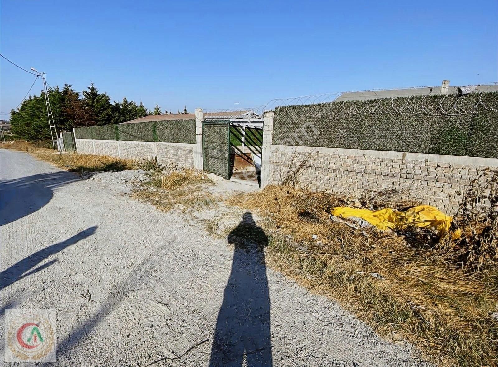 Akdoğan İnş Satılık231m2 Asfalta Cep Arsa Vasfında İmarlı Tarla - Görsel 8