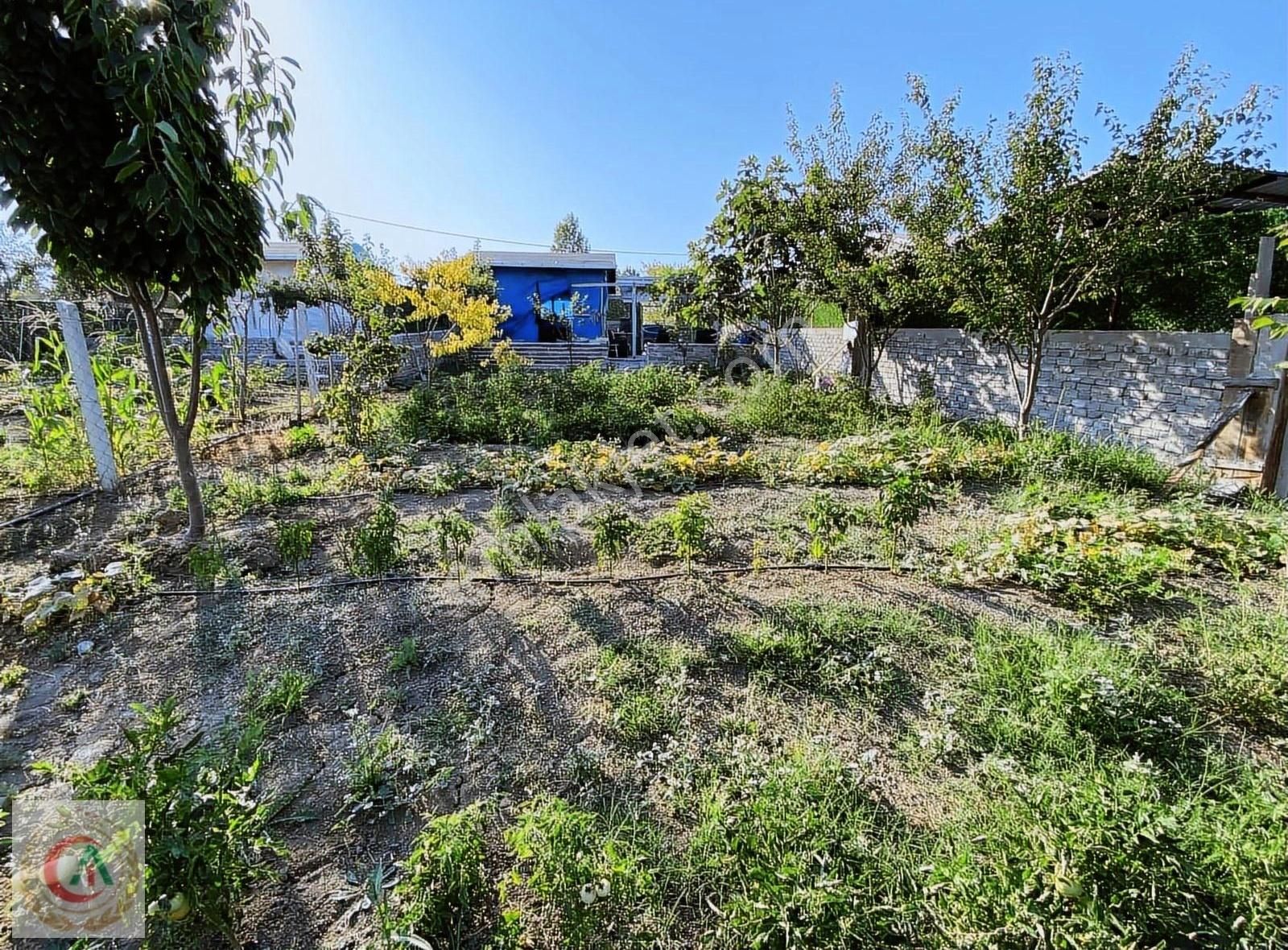 Akdoğan İnş Satılık231m2 Asfalta Cep Arsa Vasfında İmarlı Tarla - Görsel 6