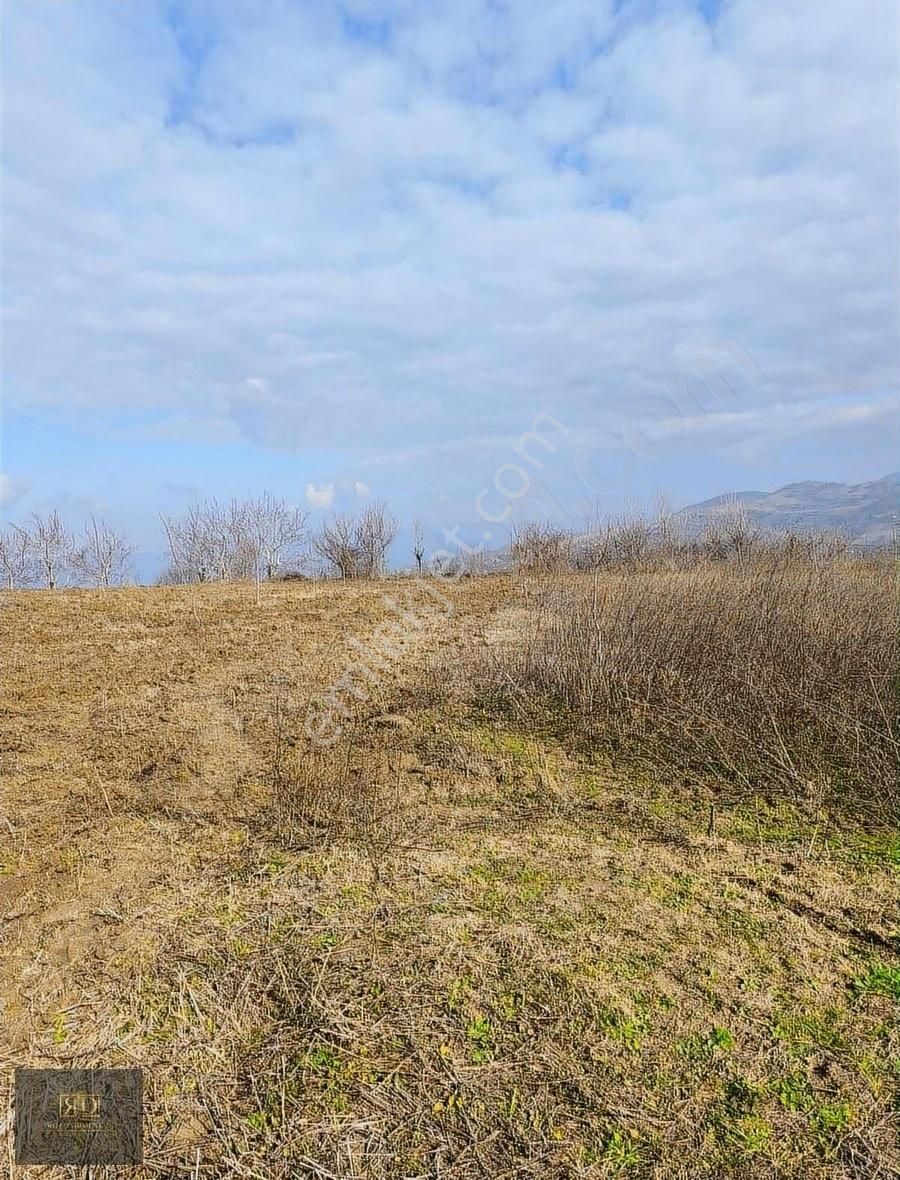 Bursa İnegöl Gündüzlü Ceviz Bahçesi Oylat Kaplıcalarına 6km