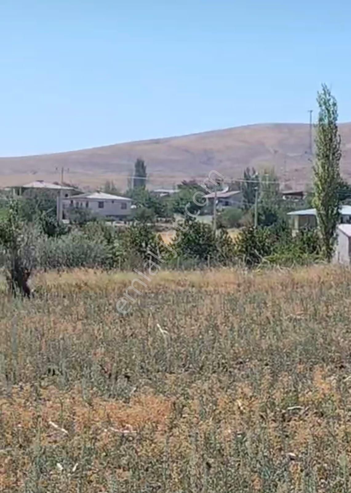 Niğde Ulukışla Hüsniye Yaylasında Kelepir Tek Tapu