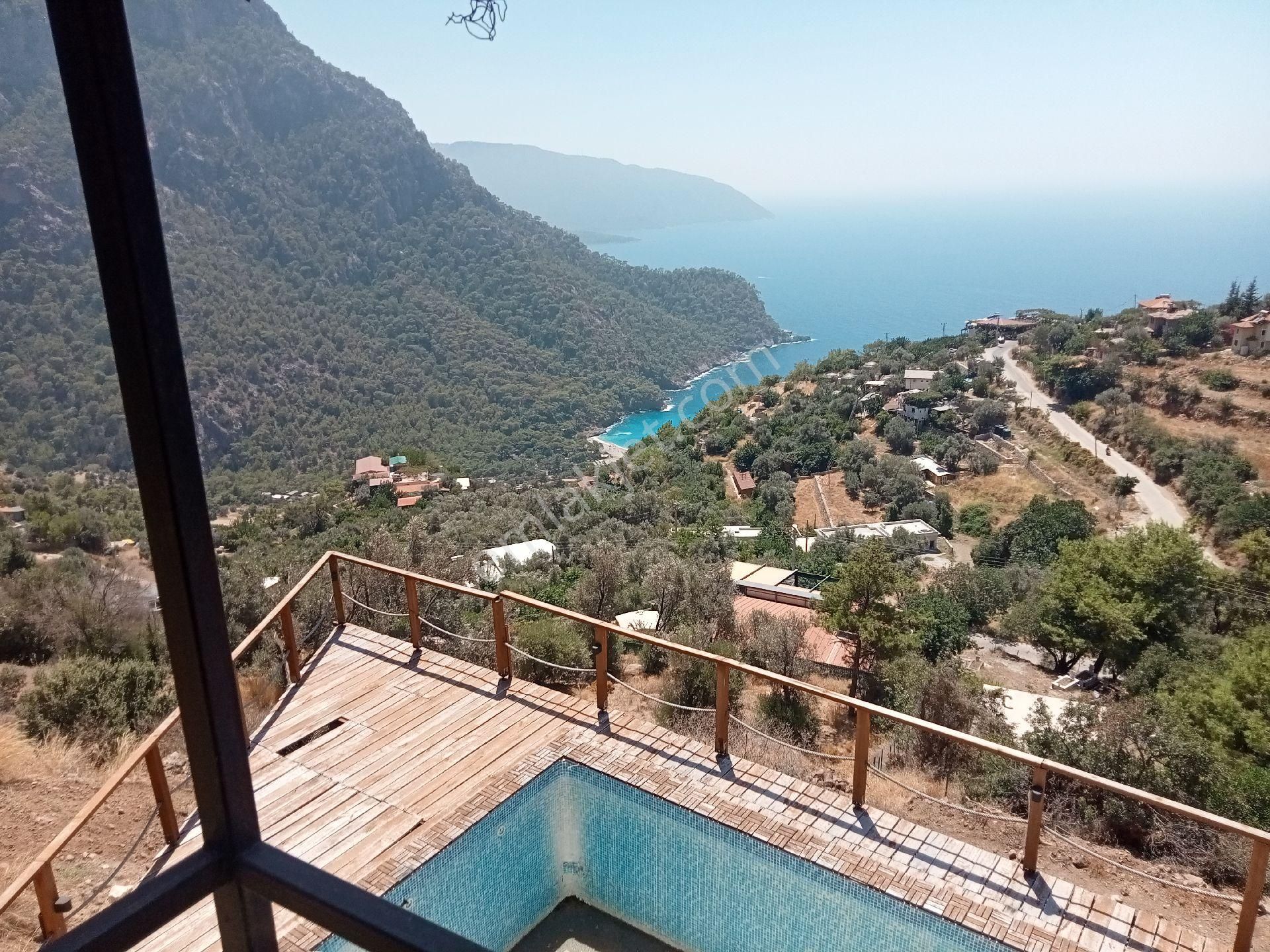 Falcon Dan Faralya Kabakta Fırsat Arsa