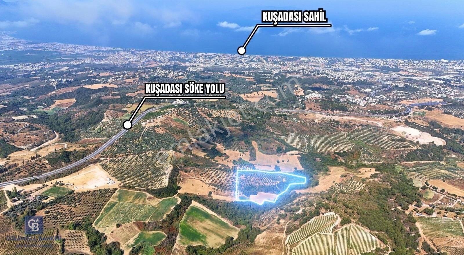 Kuşadası/yayla Satılık Zeytinlik-tarla