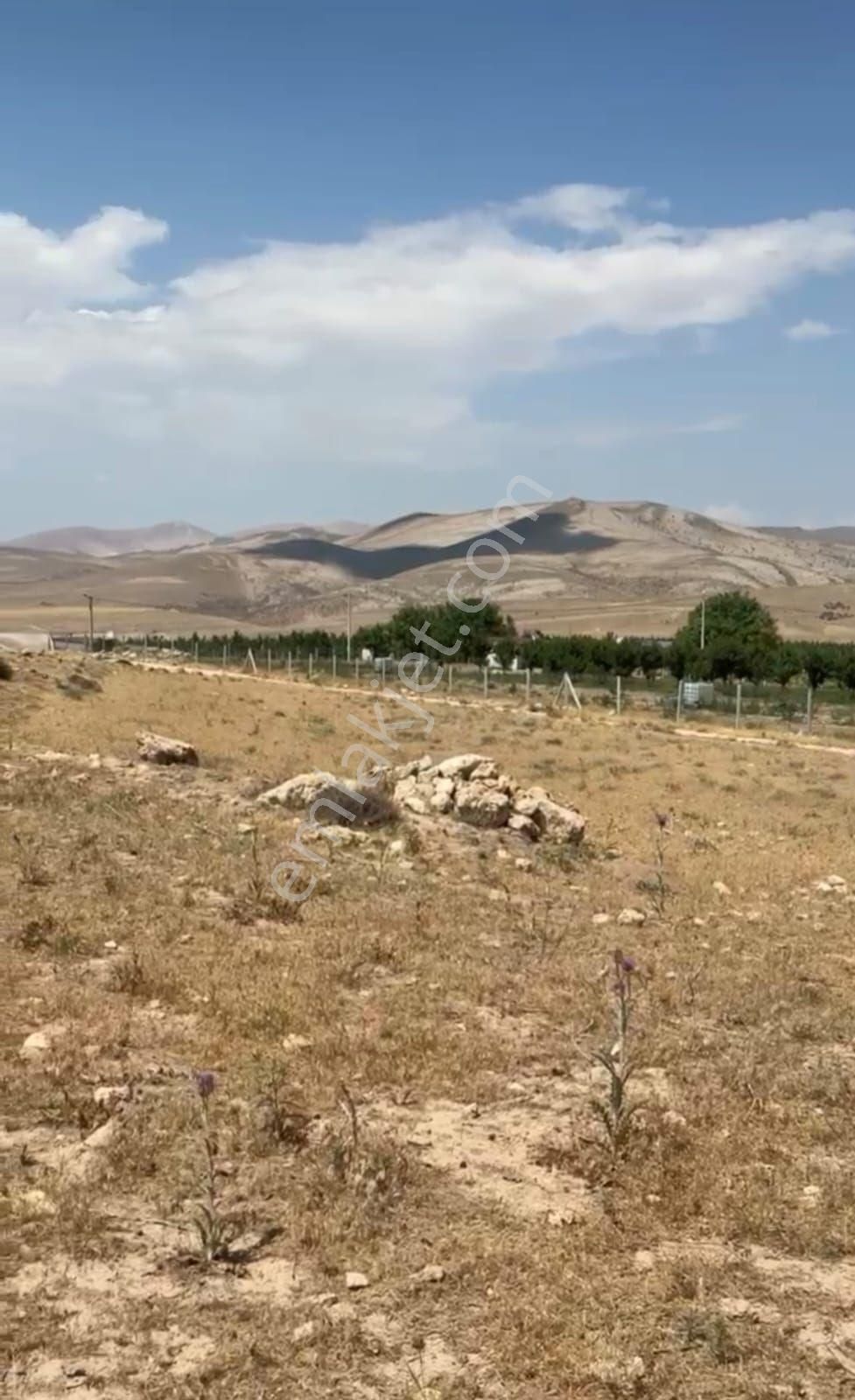 Niğde Bor Gökbez Köyünde Tek Tapu 18.500m2 Kelepir Yer