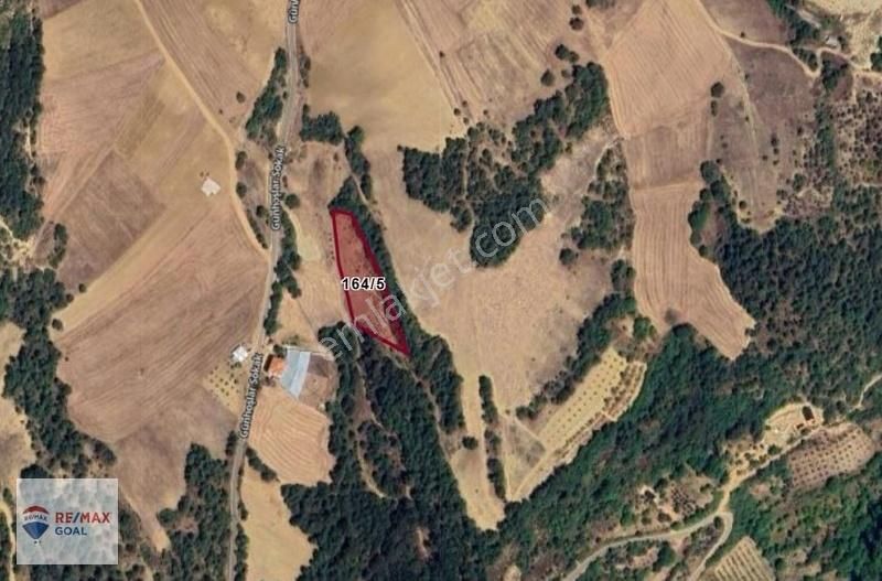 Geyve Satılık Tarla