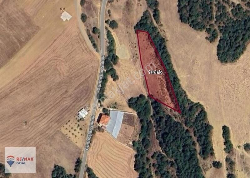 Geyve Satılık Tarla - Görsel 4