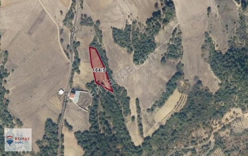 Geyve Satılık Tarla - Görsel 3