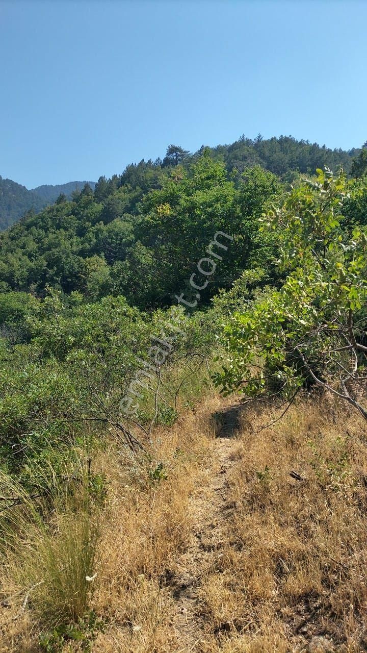 Uluçam'da Muhteşem Manzaralı Köy İçi - Görsel 9