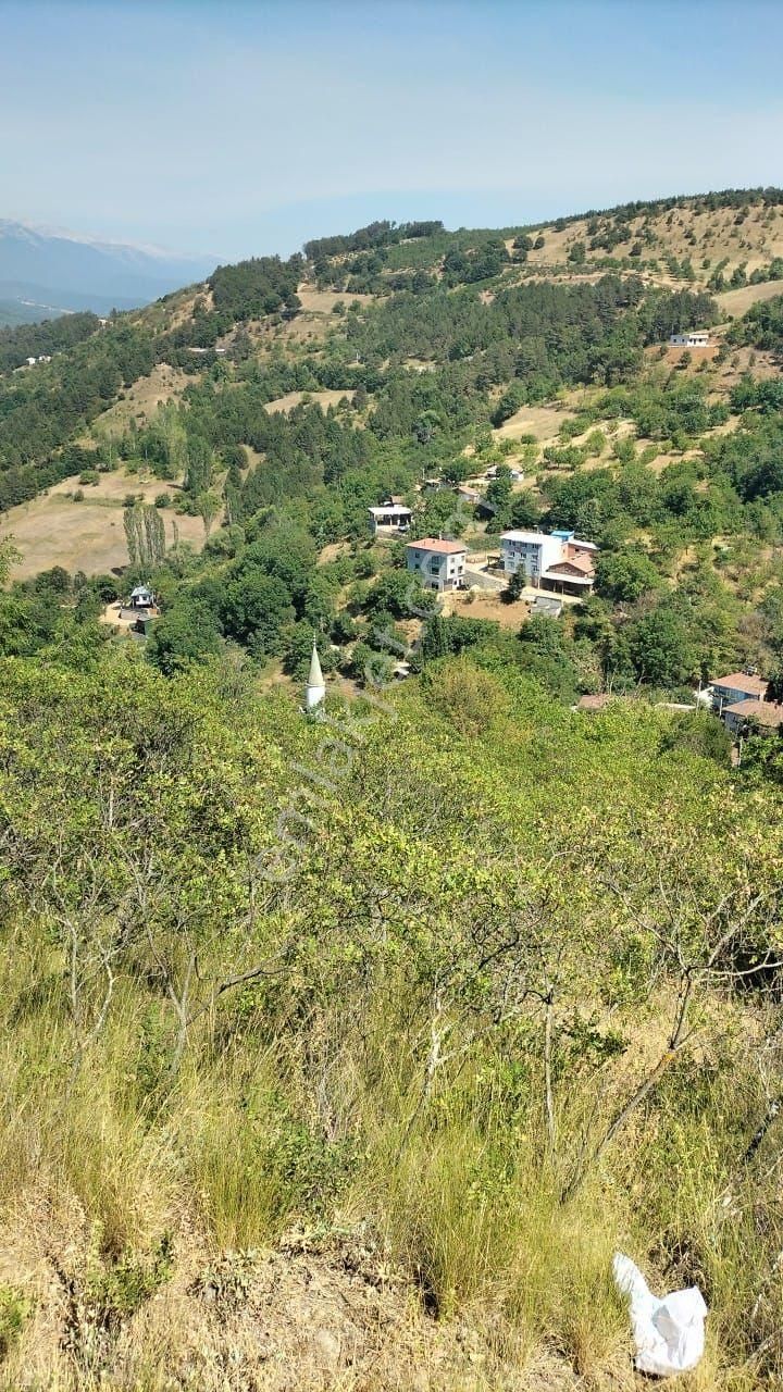 Uluçam'da Muhteşem Manzaralı Köy İçi - Görsel 8