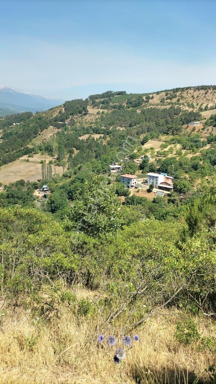 Uluçam'da Muhteşem Manzaralı Köy İçi - Görsel 5