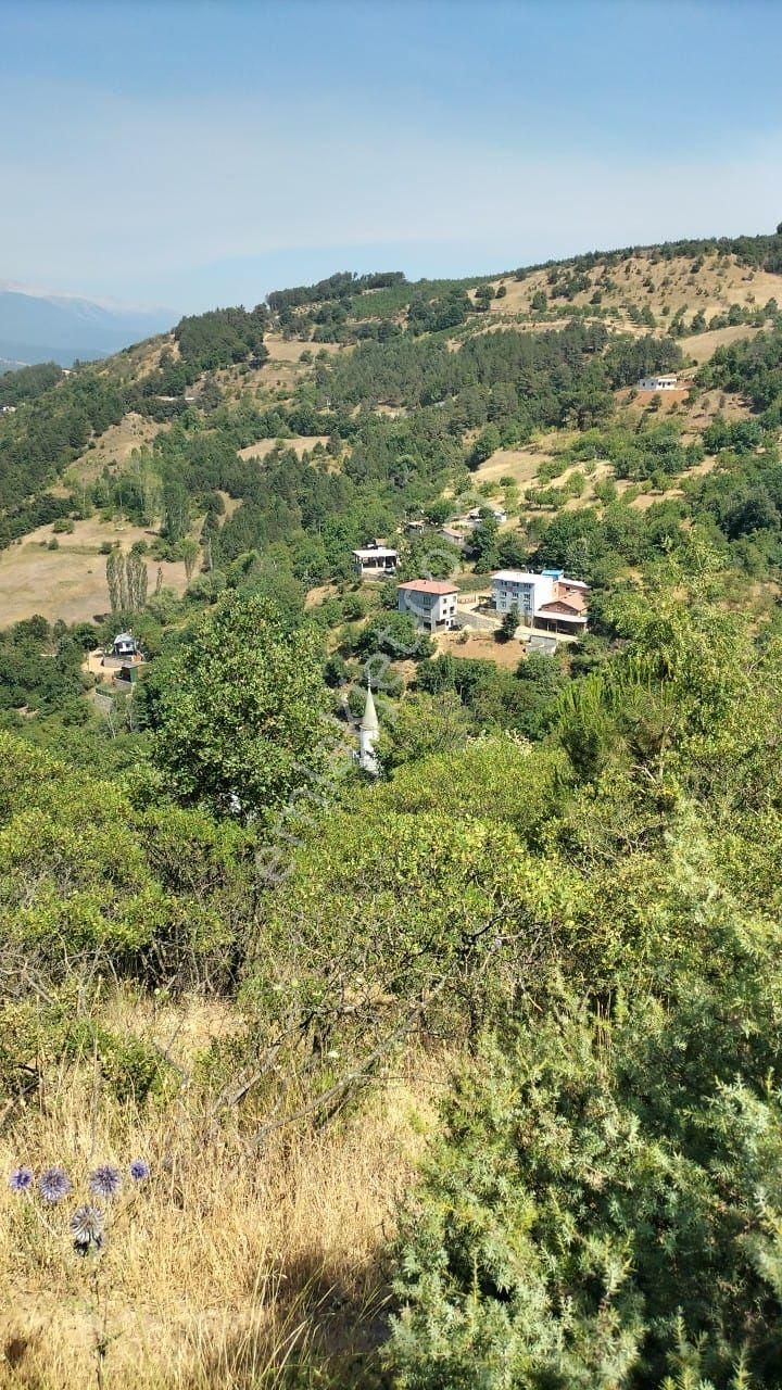 Uluçam'da Muhteşem Manzaralı Köy İçi - Görsel 4