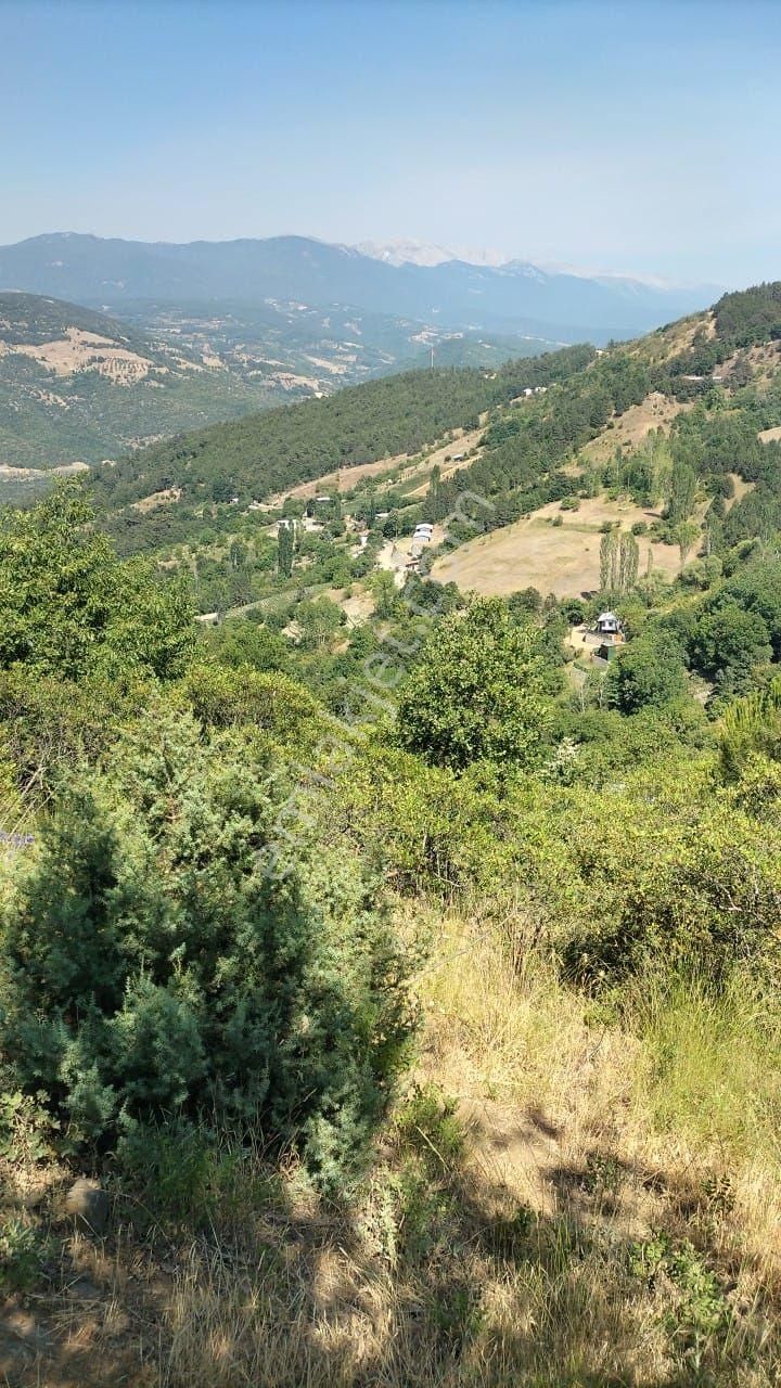 Uluçam'da Muhteşem Manzaralı Köy İçi - Görsel 7