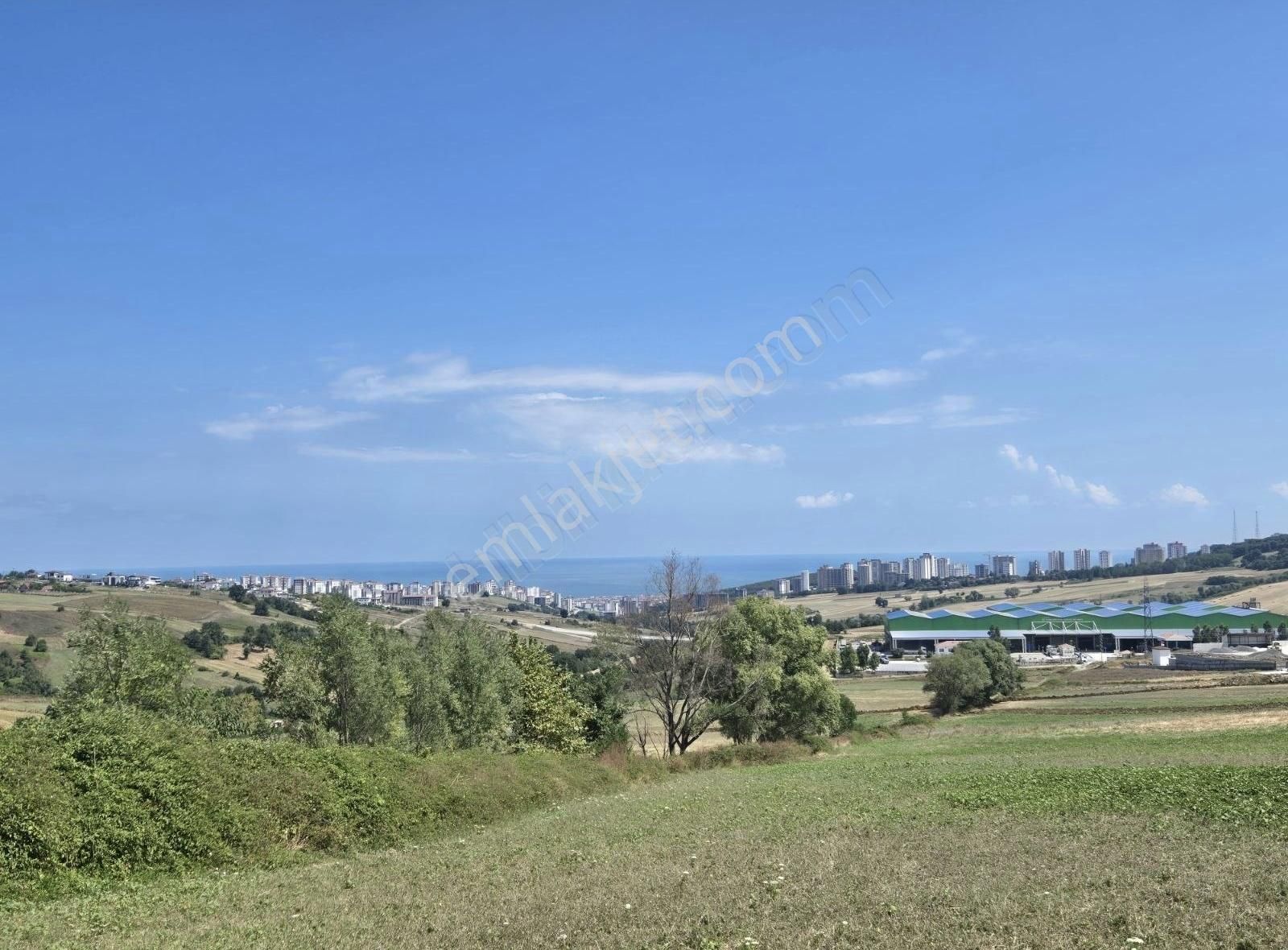 Erlife'den Samsun/kamalıda Satılık Hisse...