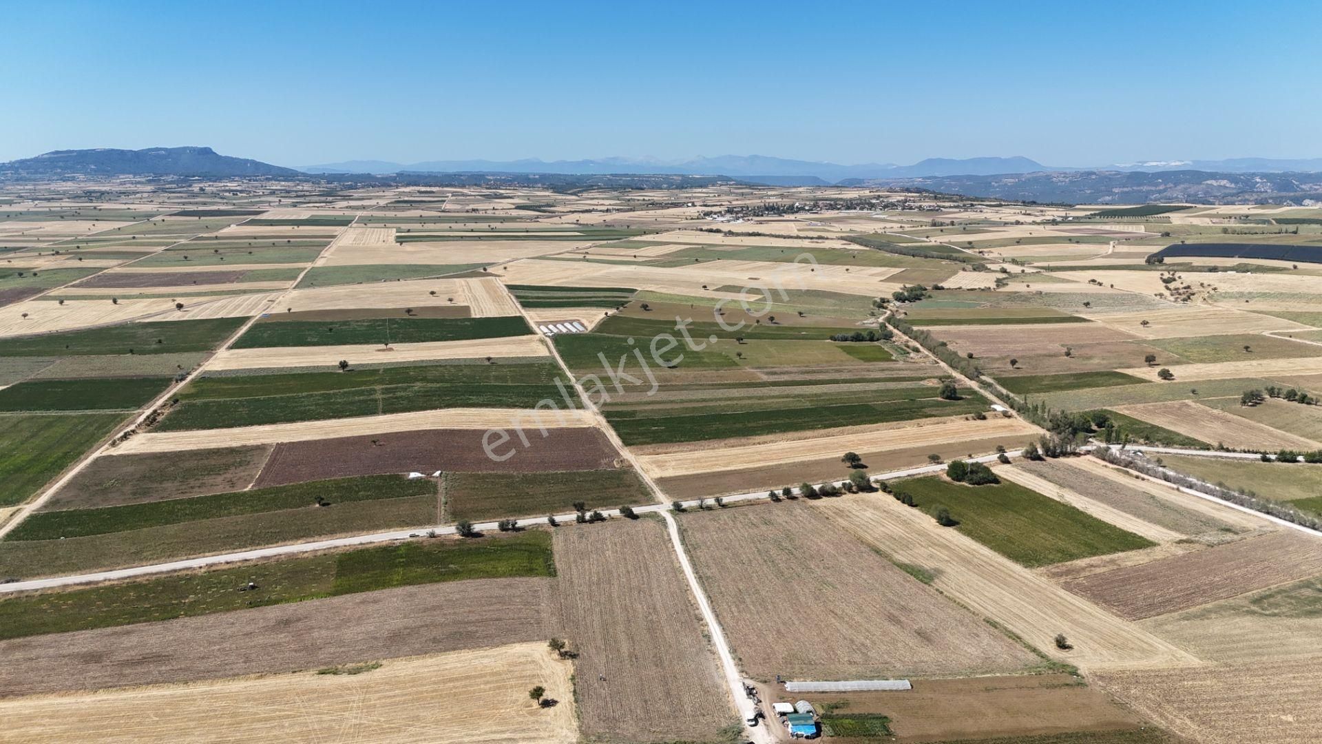 Bakan Gm'den Tavas Altınova'da Yatırımlık Satılık Düz Tarla