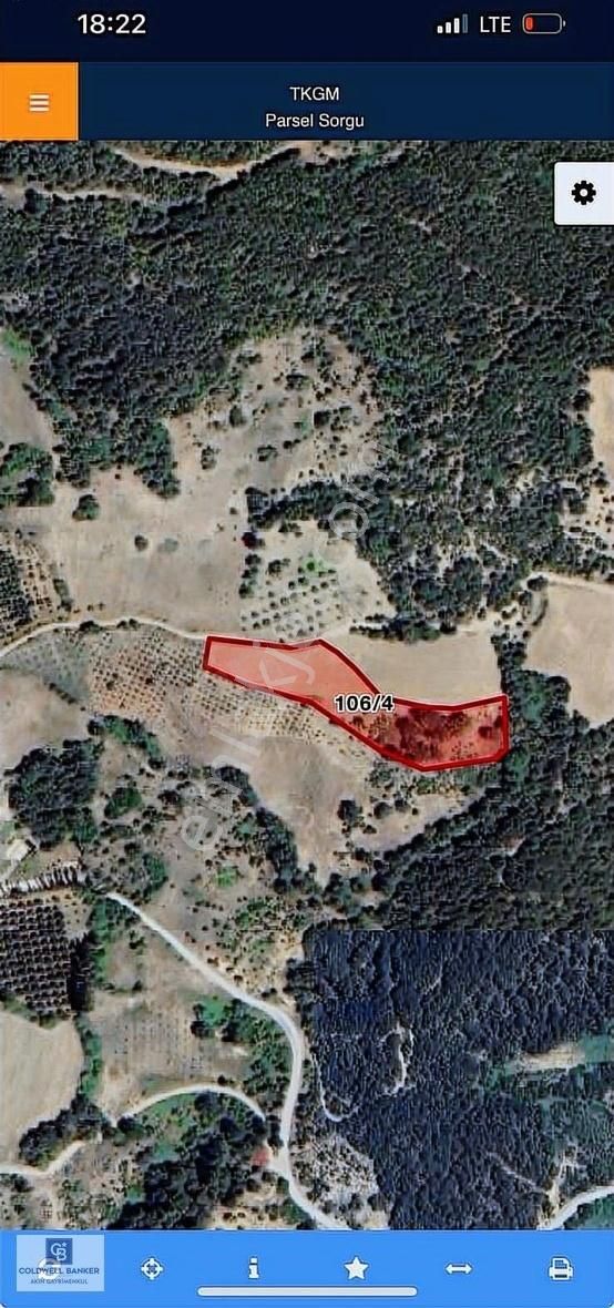 Sakarya Geyve Sütalan Köyü 5.495 M² Resmi Yollu Satılık Tarla