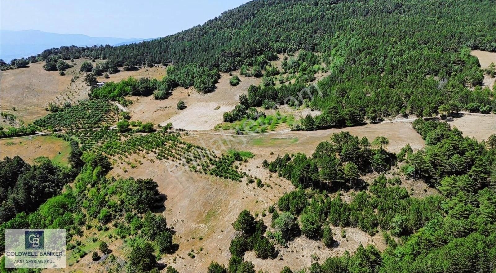 Sakarya Geyve Sütalan Köyü 5.495 M² Resmi Yollu Satılık Tarla - Görsel 6