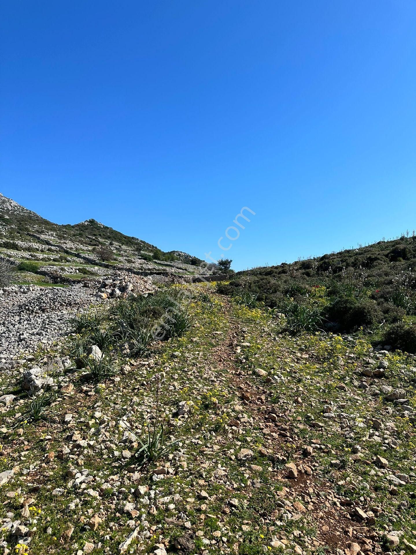 Joker: Marmaris Taşlıca Evlere 300 Metre Yatırım İçin İdeal Tarla - Görsel 7