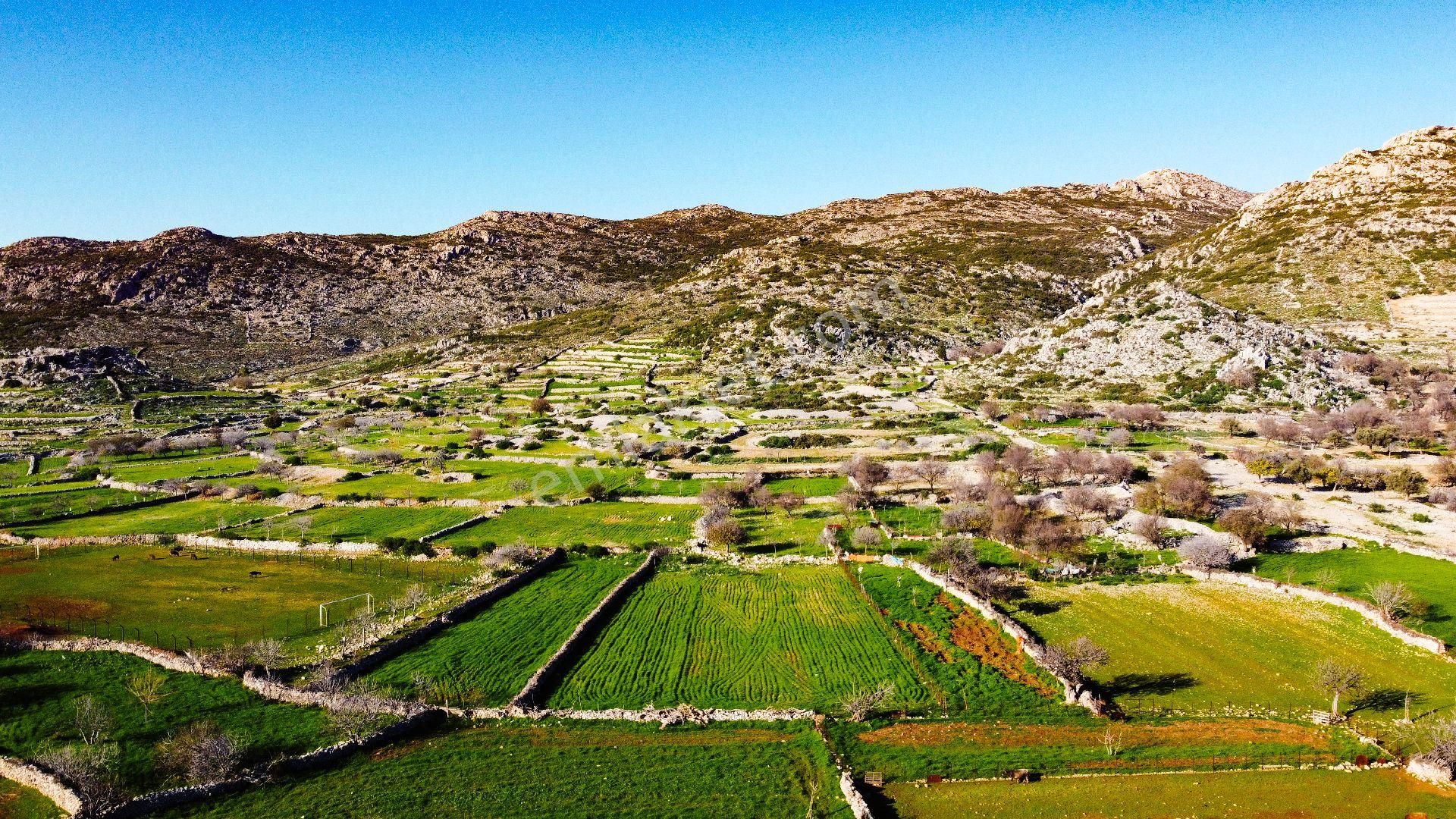 Joker: Marmaris Taşlıca Evlere 300 Metre Yatırım İçin İdeal Tarla - Görsel 6