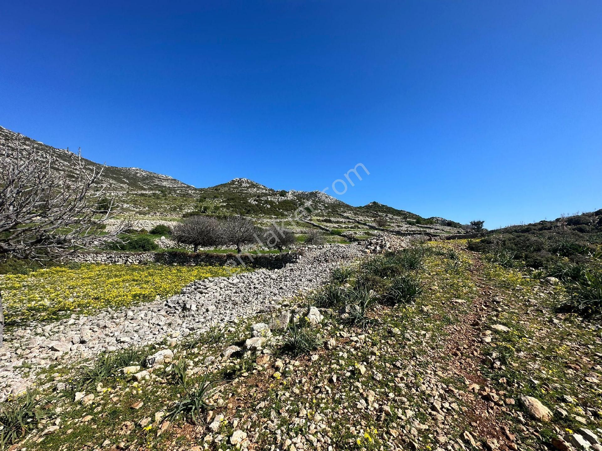 Joker: Marmaris Taşlıca Evlere 300 Metre Yatırım İçin İdeal Tarla - Görsel 4