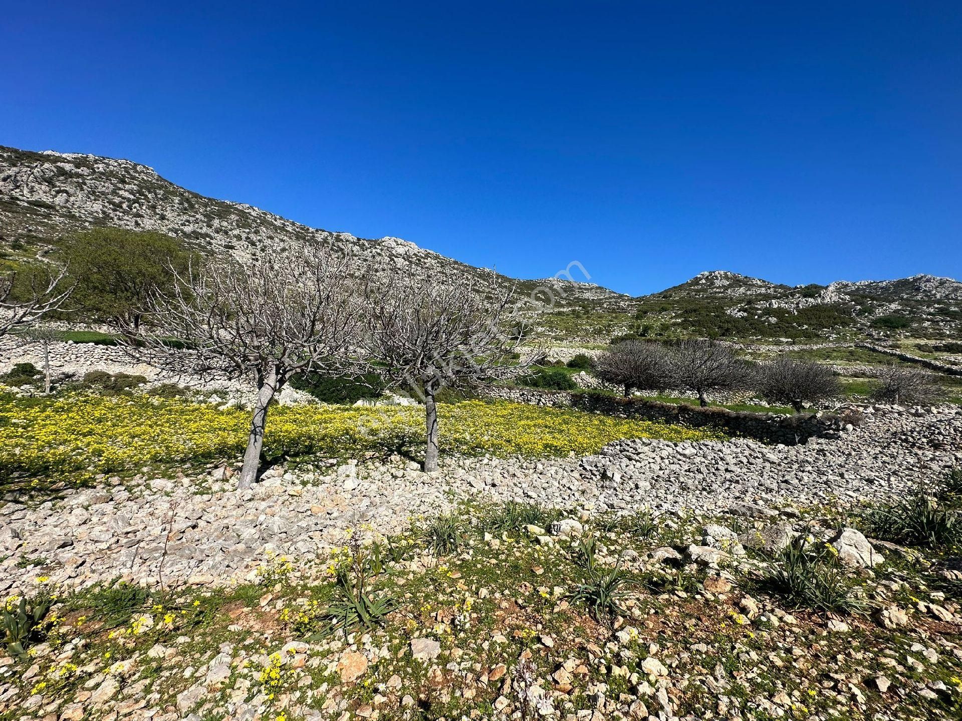 Joker: Marmaris Taşlıca Evlere 300 Metre Yatırım İçin İdeal Tarla - Görsel 9