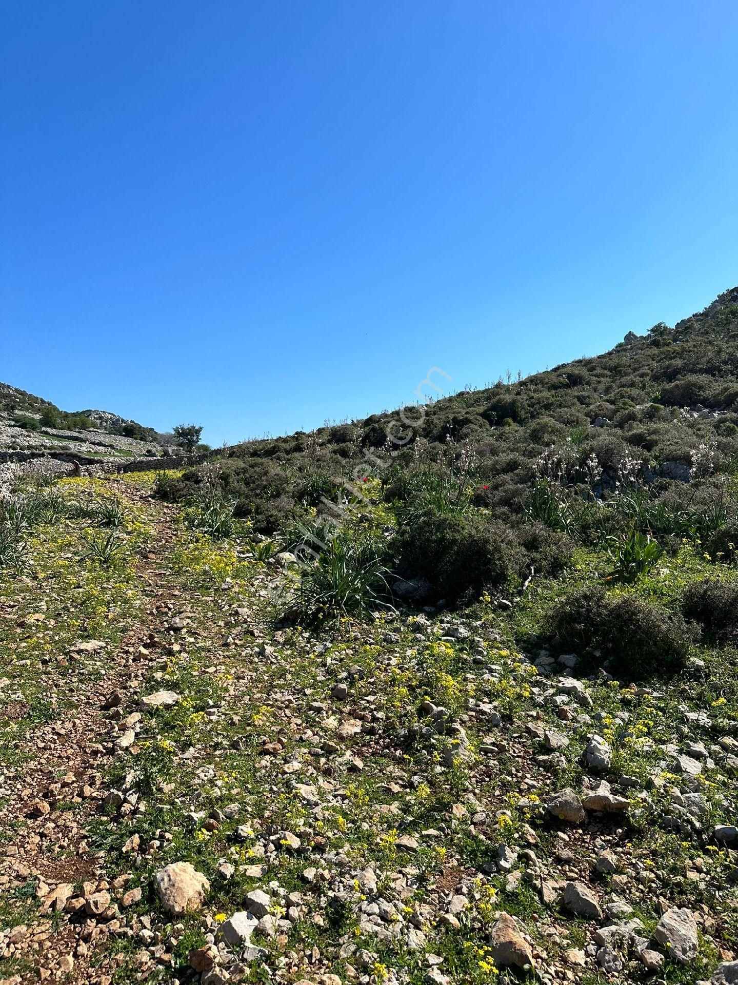 Joker: Marmaris Taşlıca Evlere 300 Metre Yatırım İçin İdeal Tarla - Görsel 11