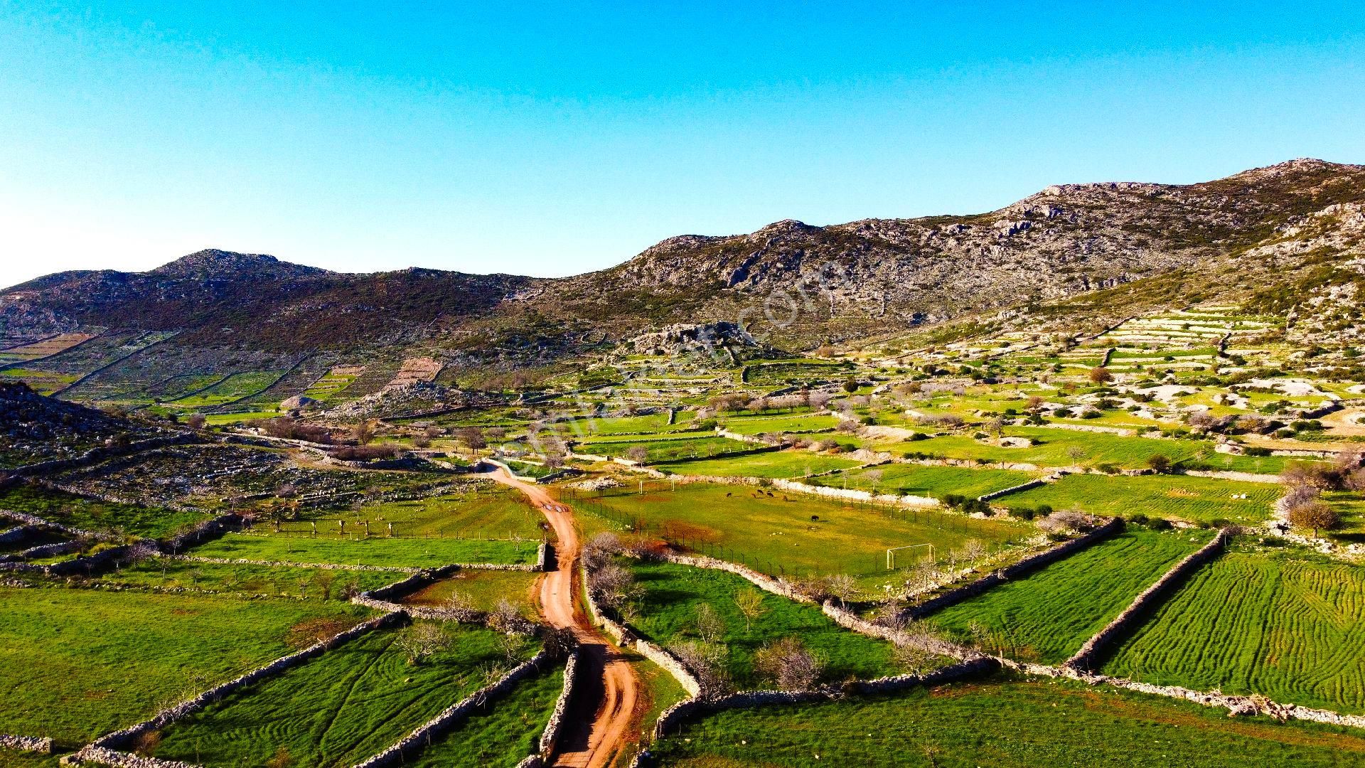 Joker: Marmaris Taşlıca Evlere 300 Metre Yatırım İçin İdeal Tarla - Görsel 5