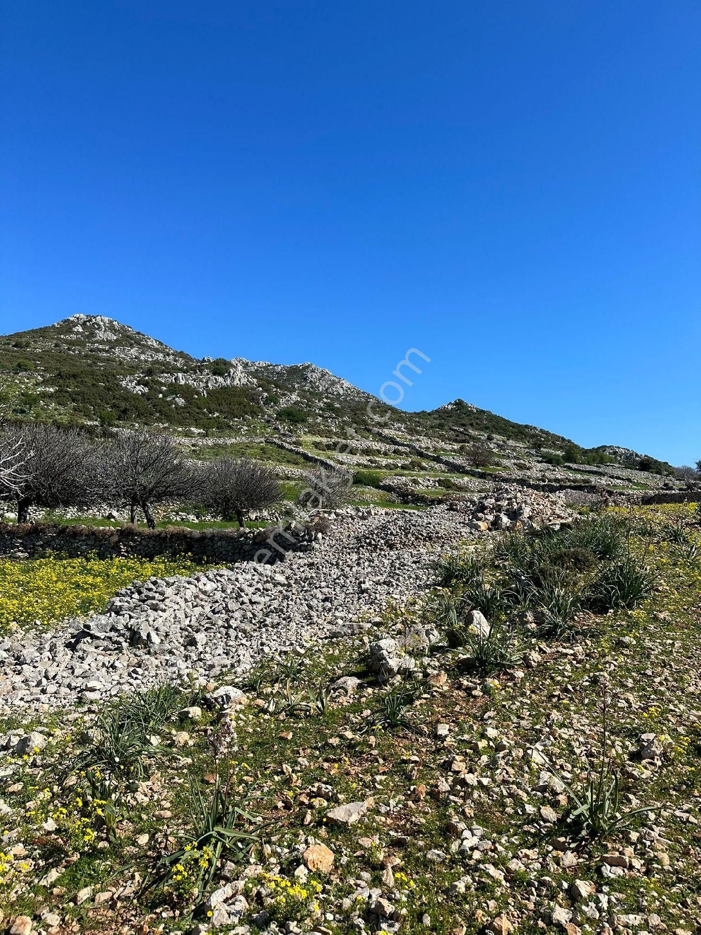 Joker: Marmaris Taşlıca Evlere 300 Metre Yatırım İçin İdeal Tarla - Görsel 10