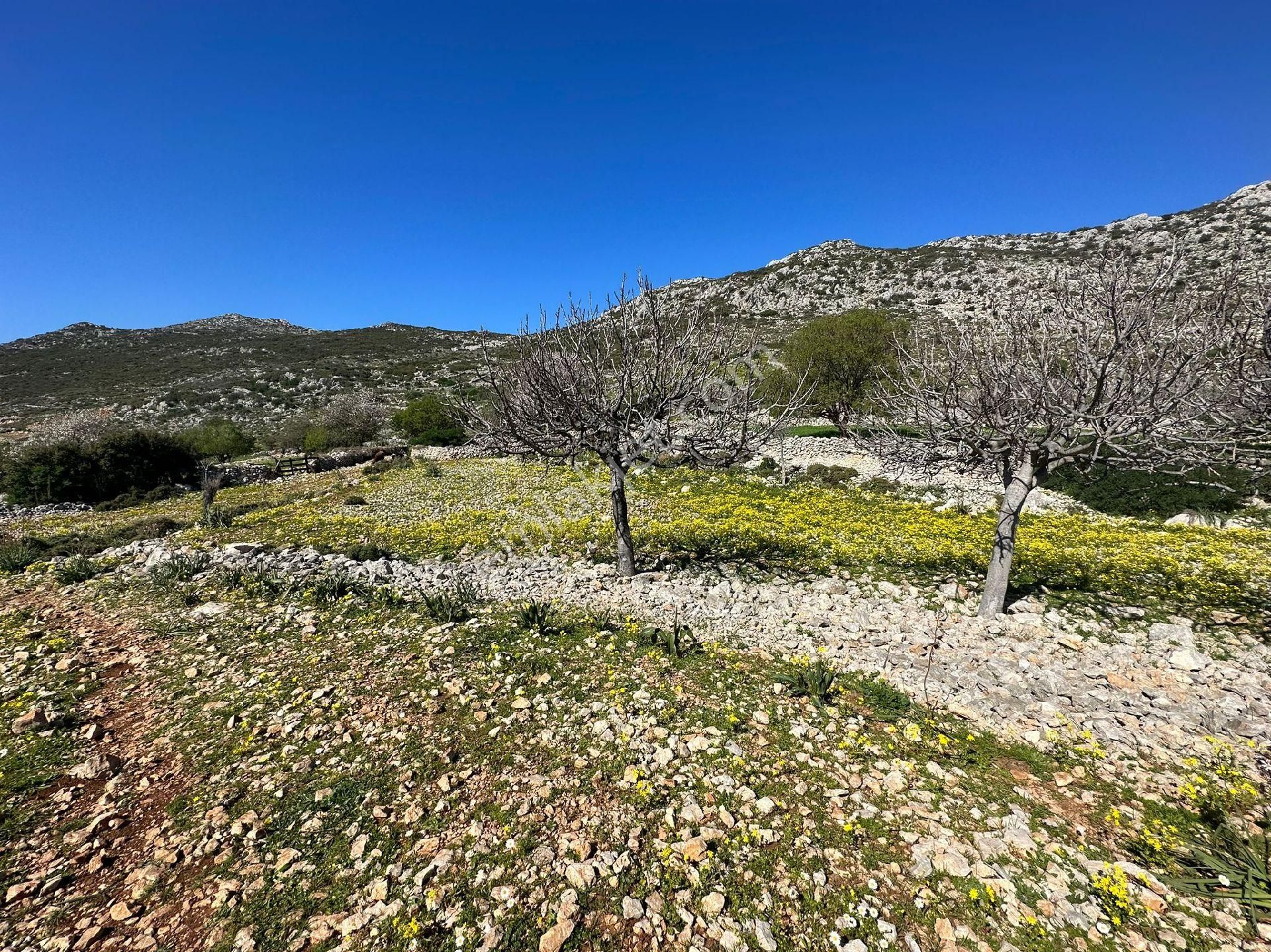 Joker: Marmaris Taşlıca Evlere 300 Metre Yatırım İçin İdeal Tarla - Görsel 8